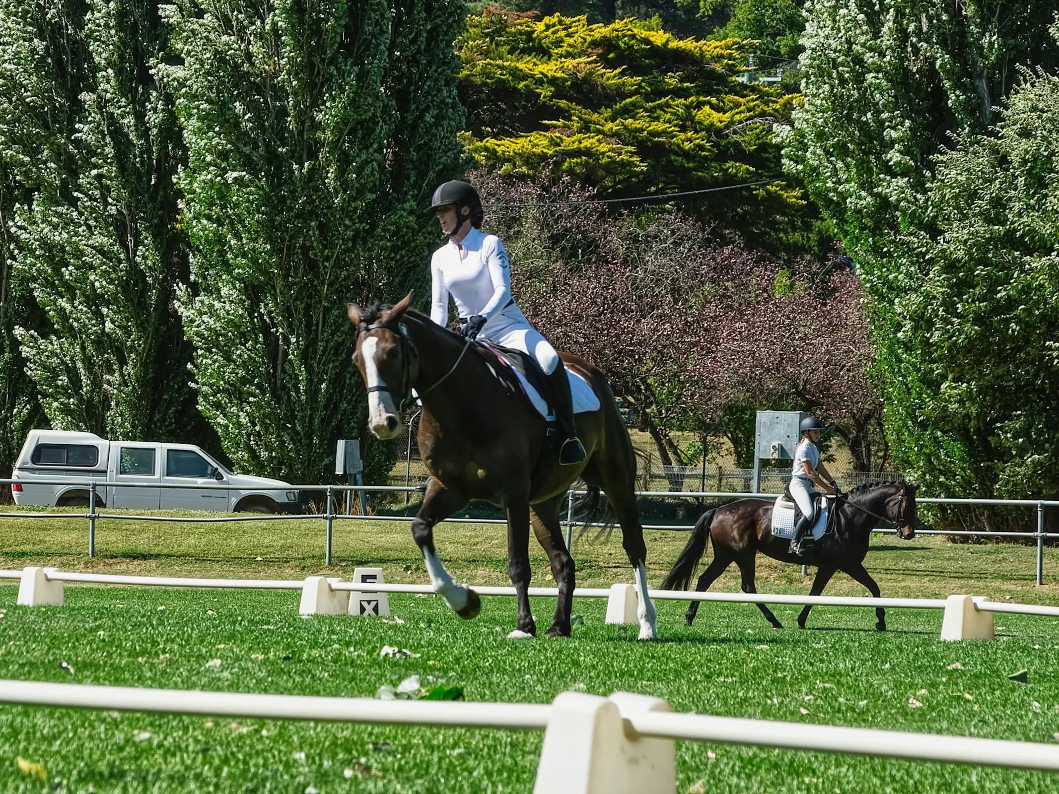 Horse jumping a fence