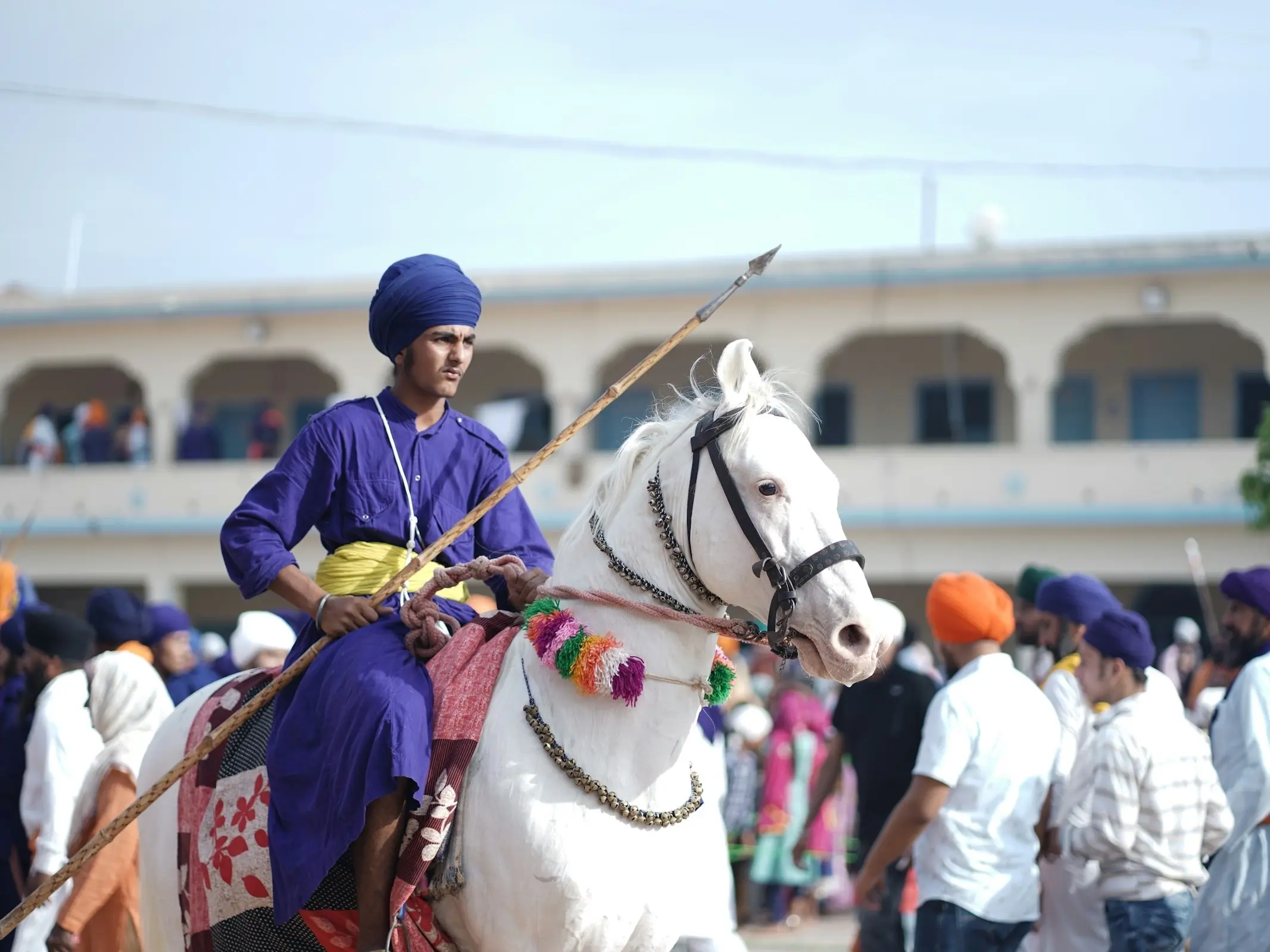 Dominant white horse