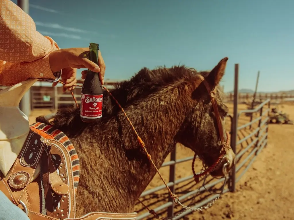 Man on a horse with a bottle of sangria