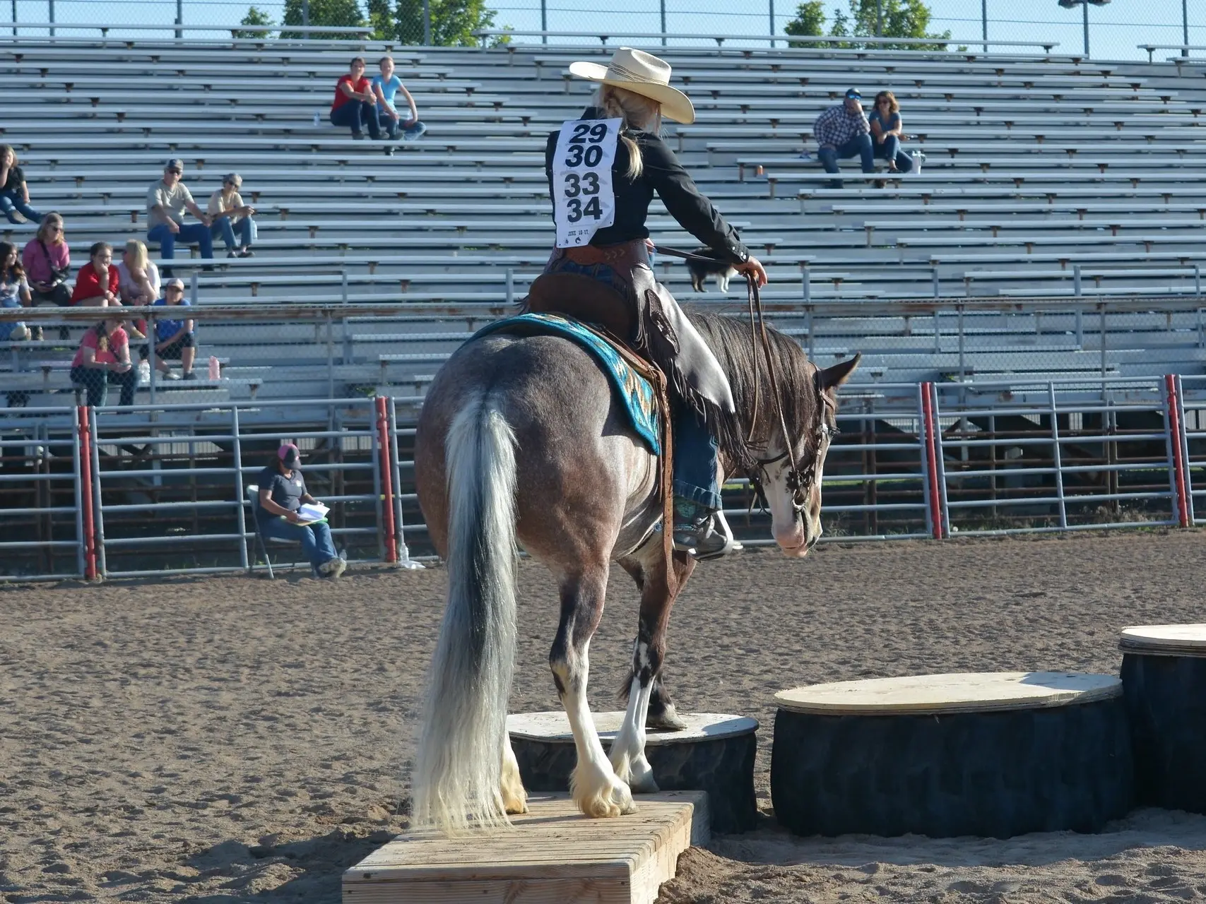 Dun dorsal stripe