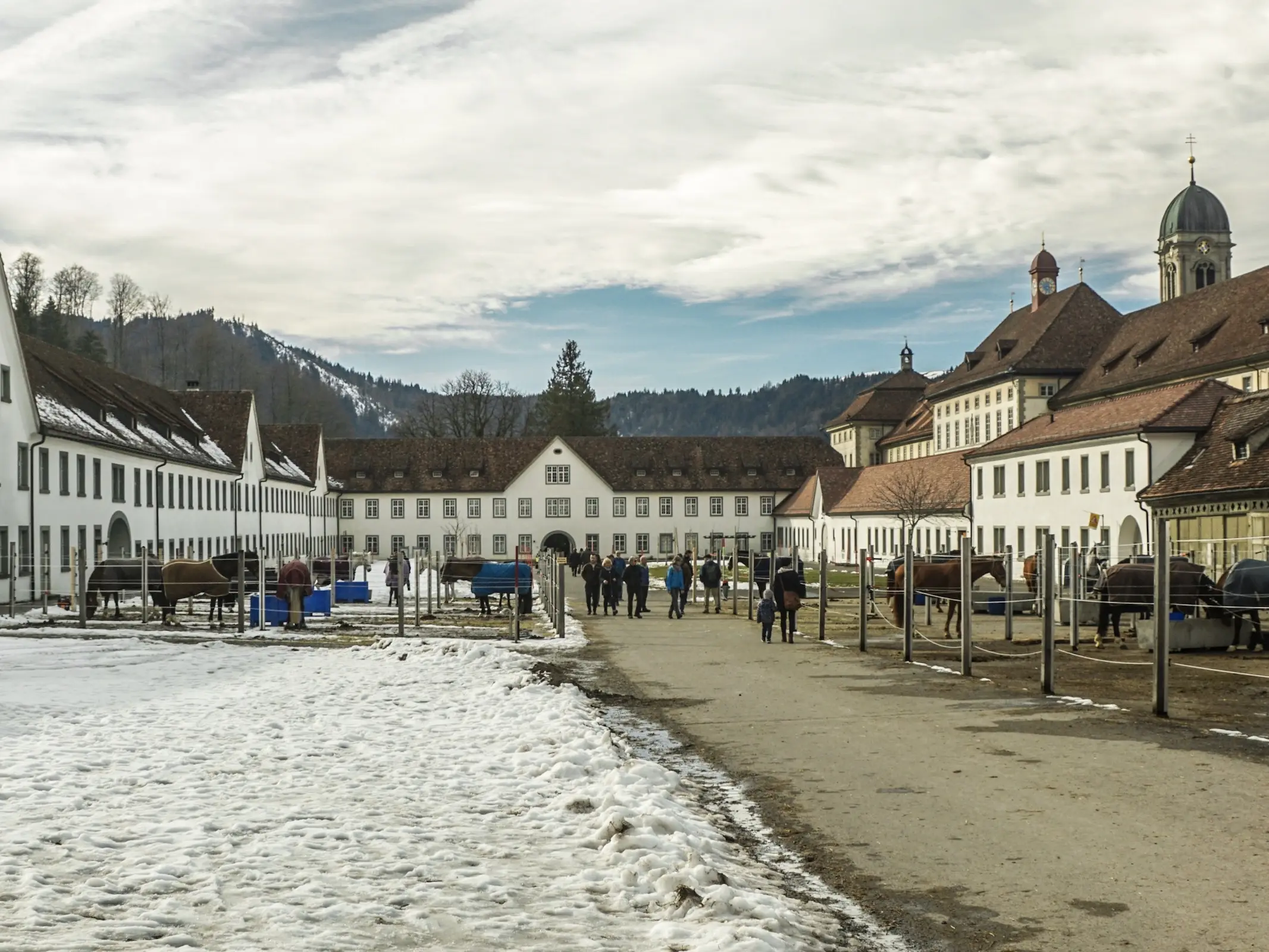 Einsiedler Horse