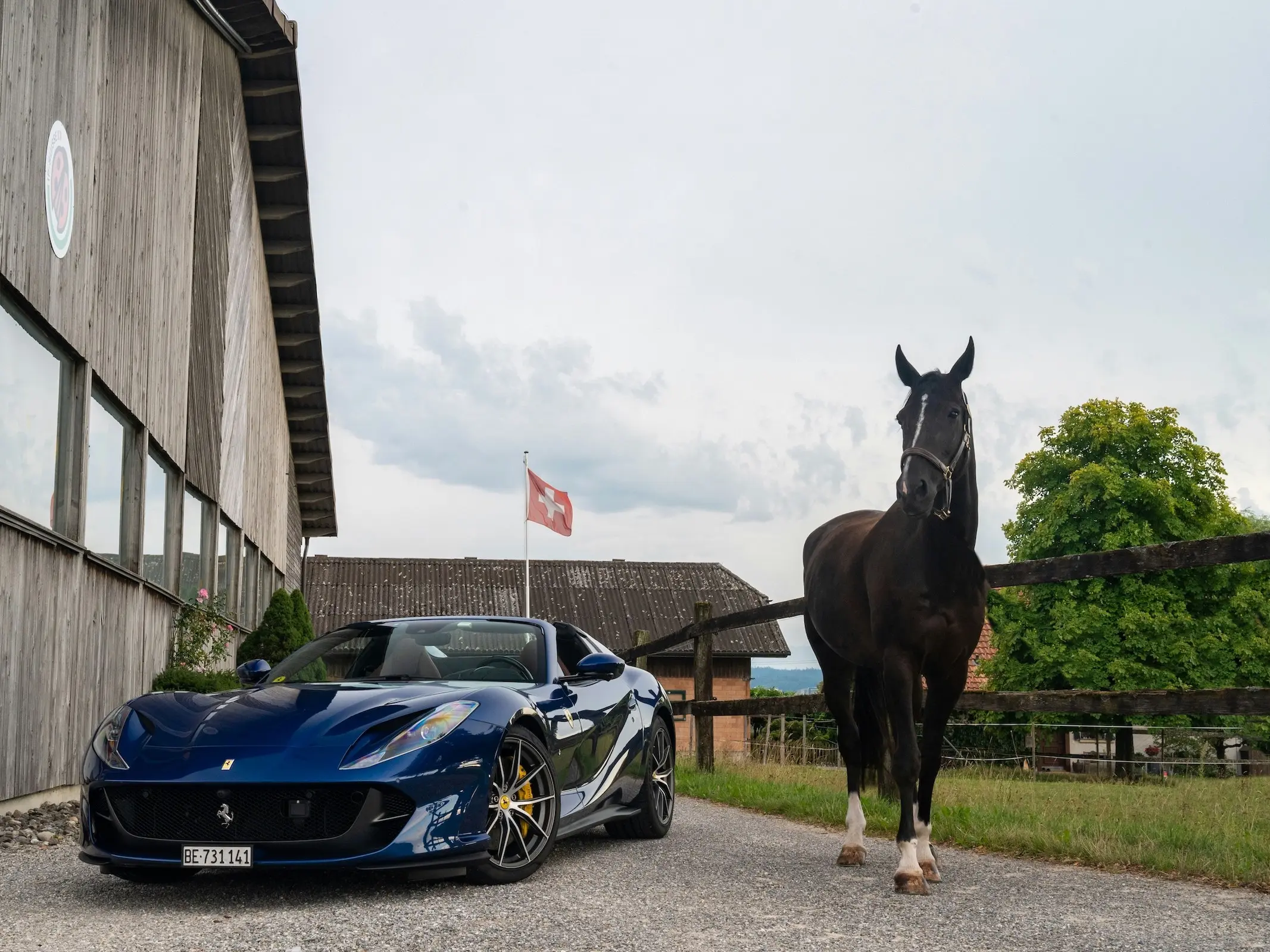 Einsiedler Horse