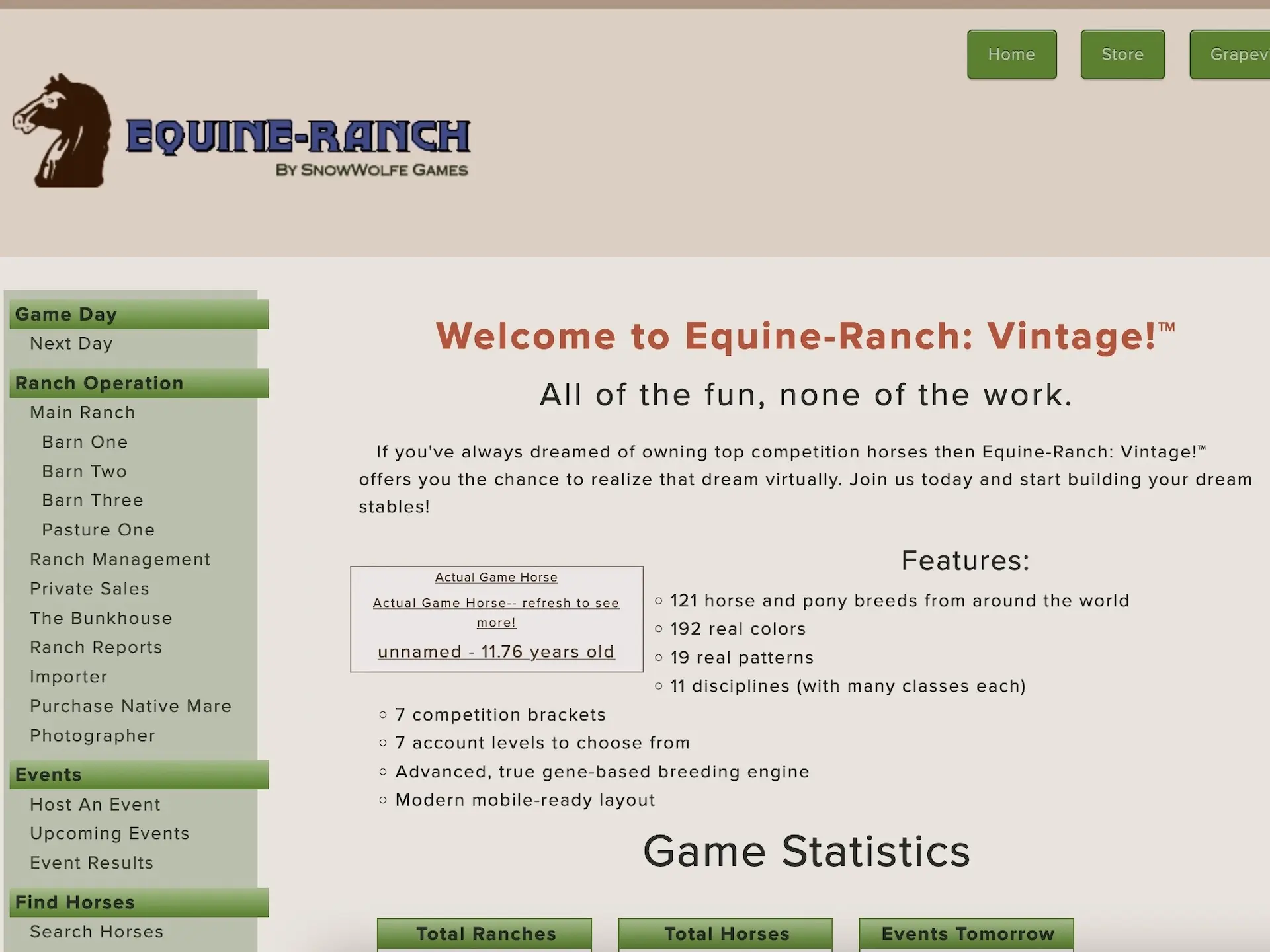 Equine Ranch