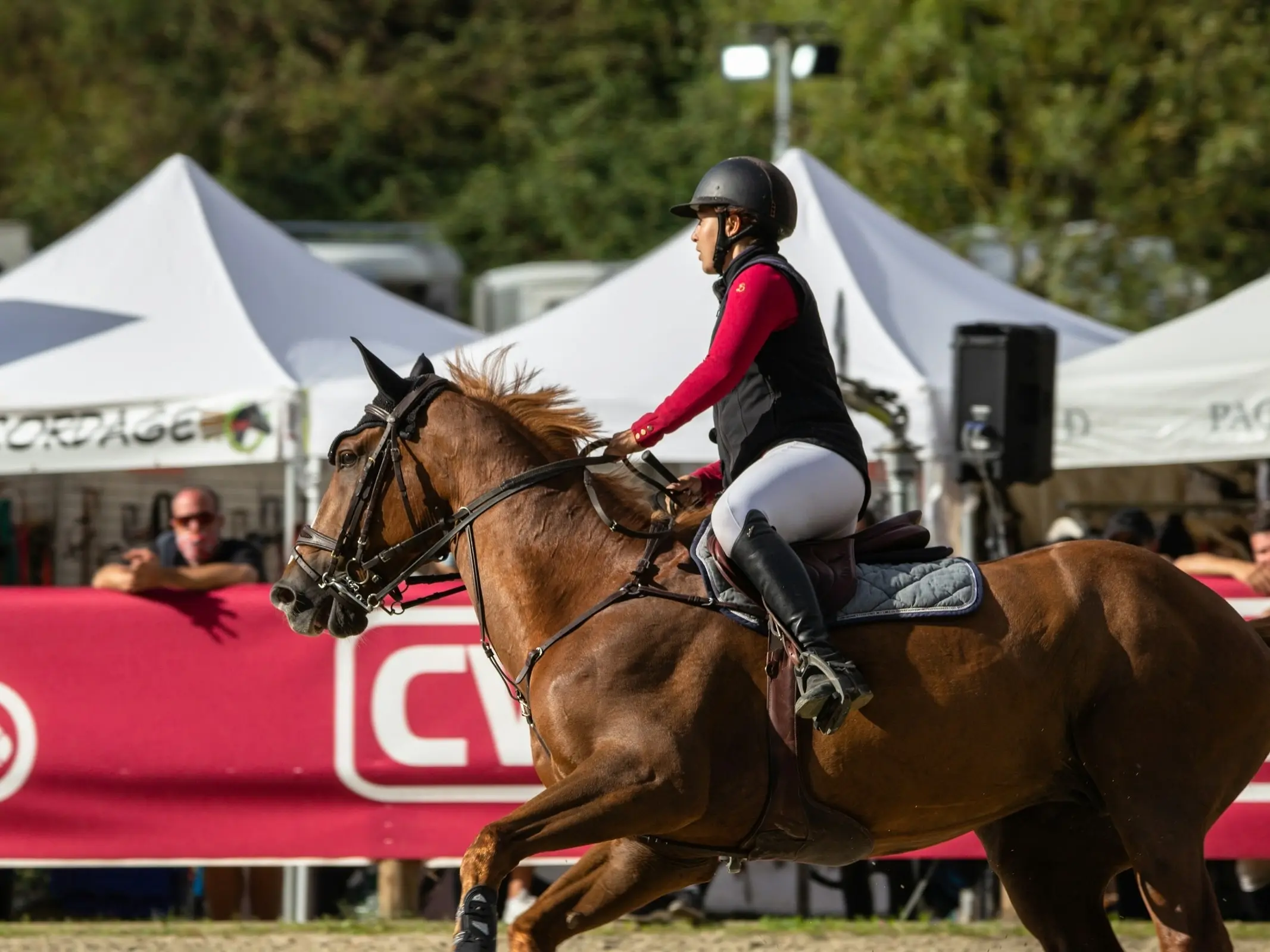 Horse jumping a fence