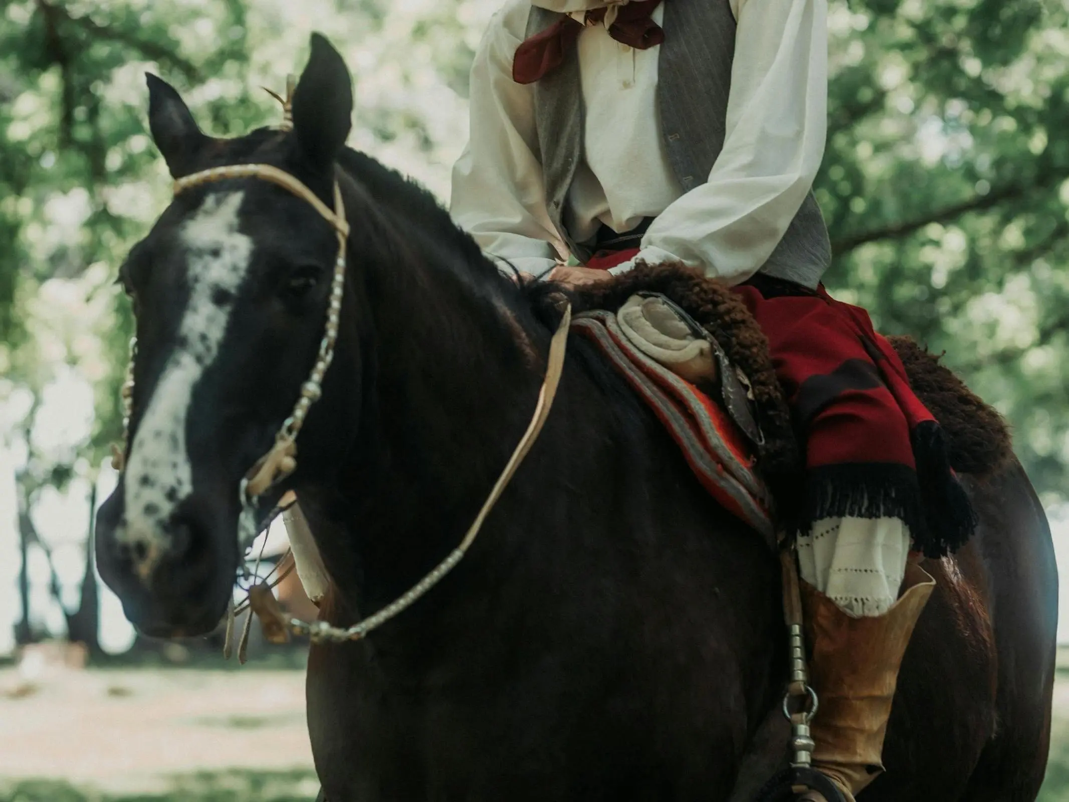 Horse with ermine face markings