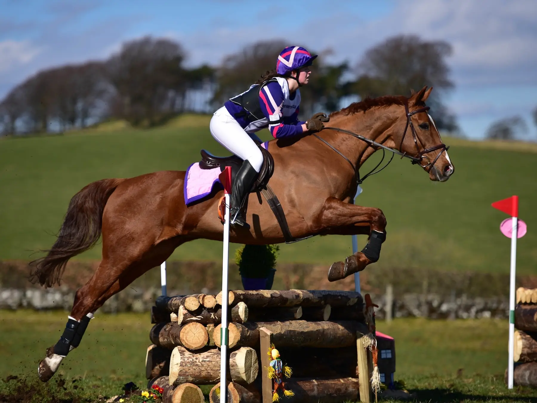 Horse jumping a fence