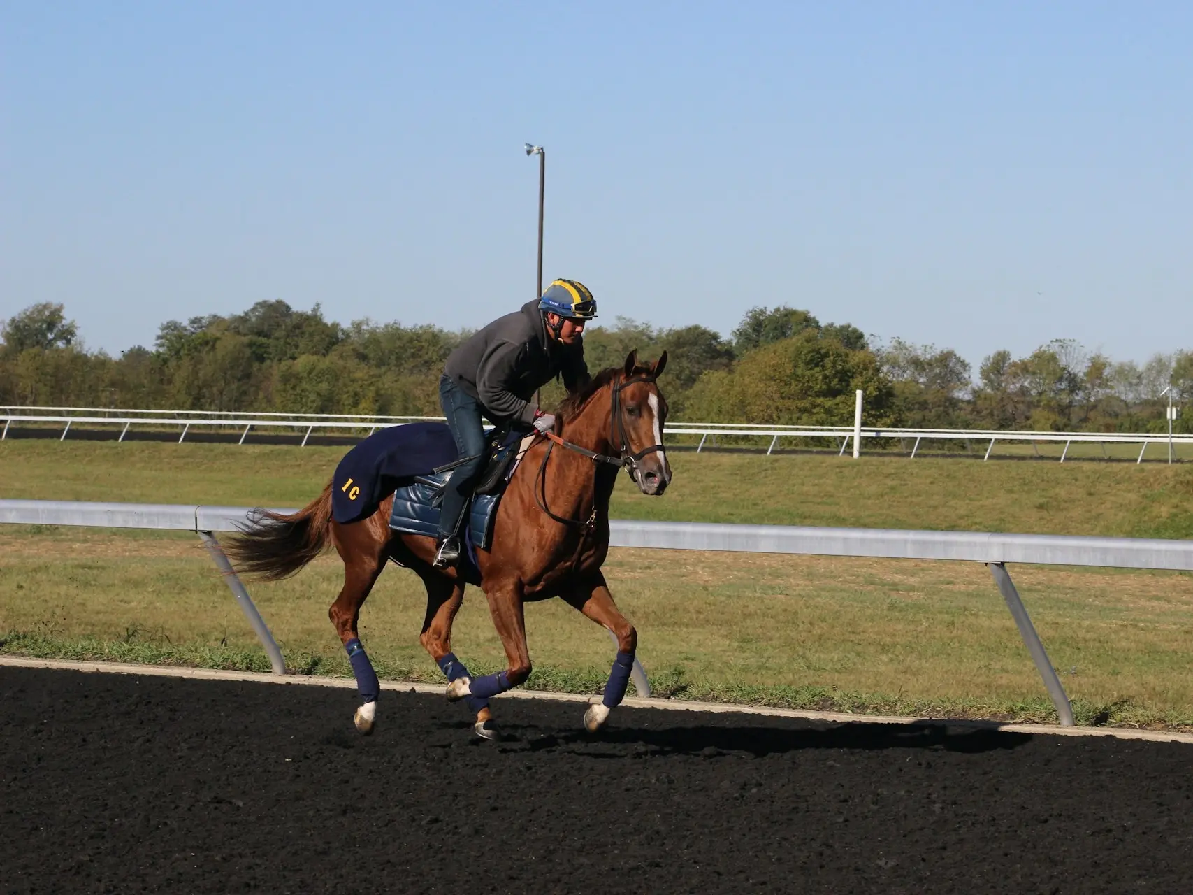 Man riding a horse on a racetrack