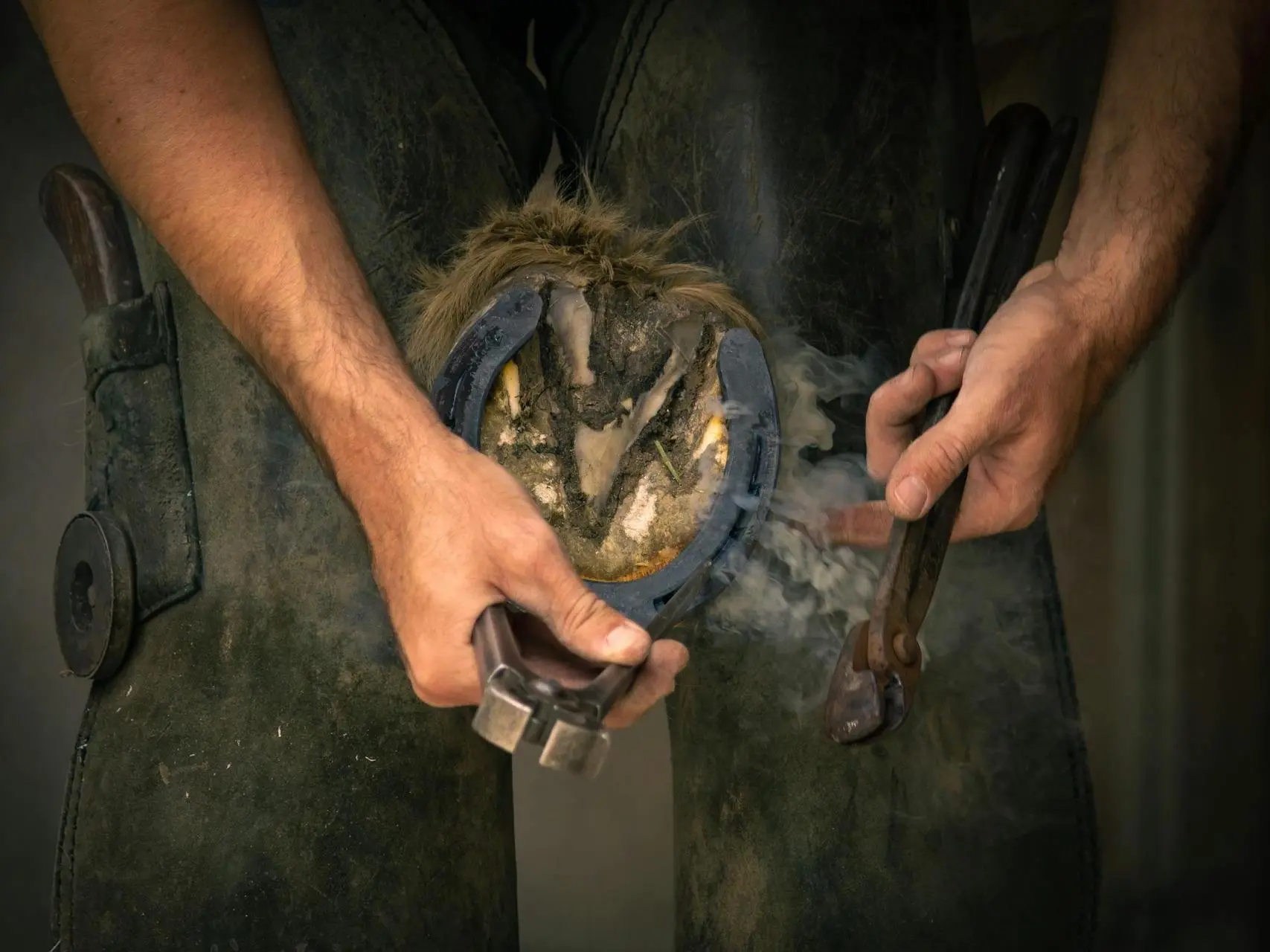 Man shoeing a horse