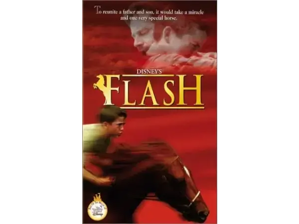 Flash