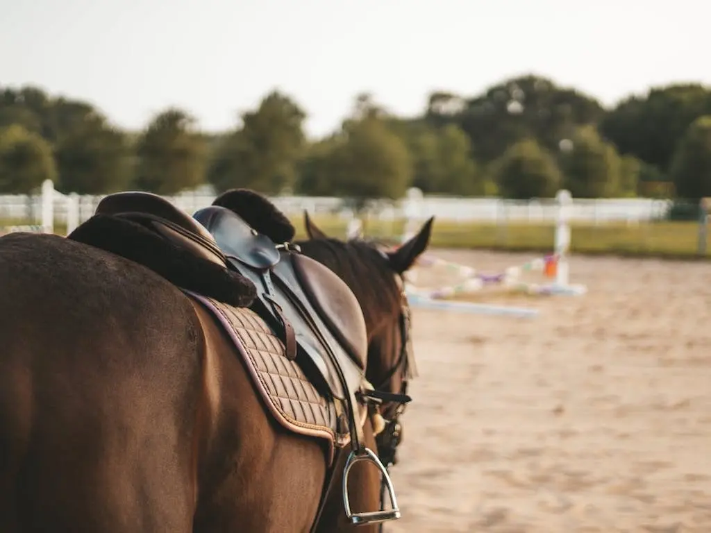 Close up of a saddle on a horse