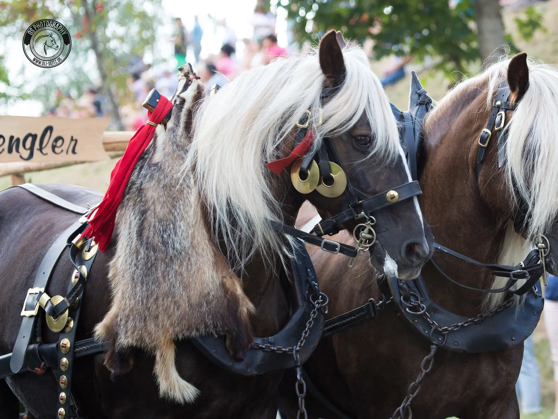 Liver flaxen horse