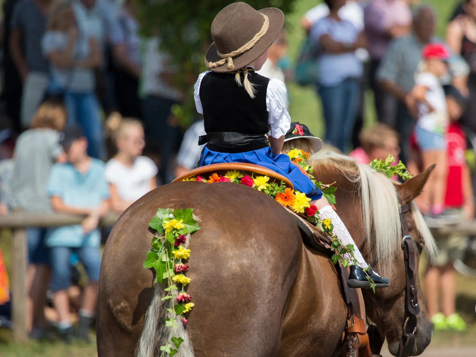 Liver flaxen horse