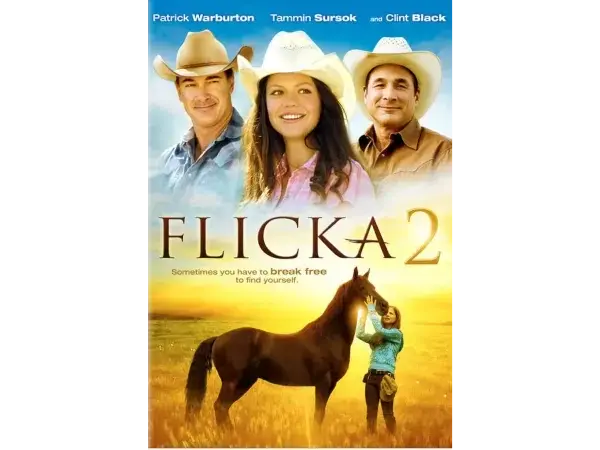 Flicka 2