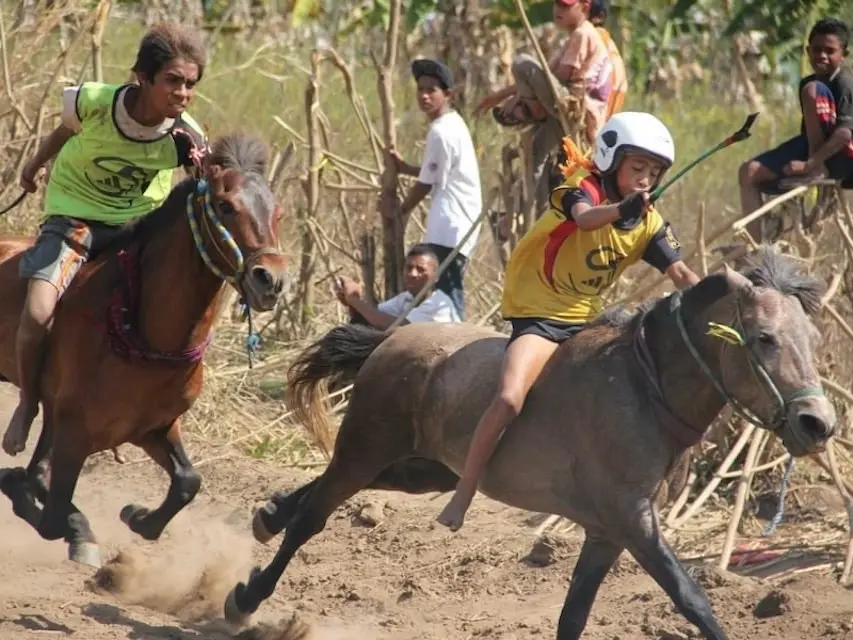 Flores Pony