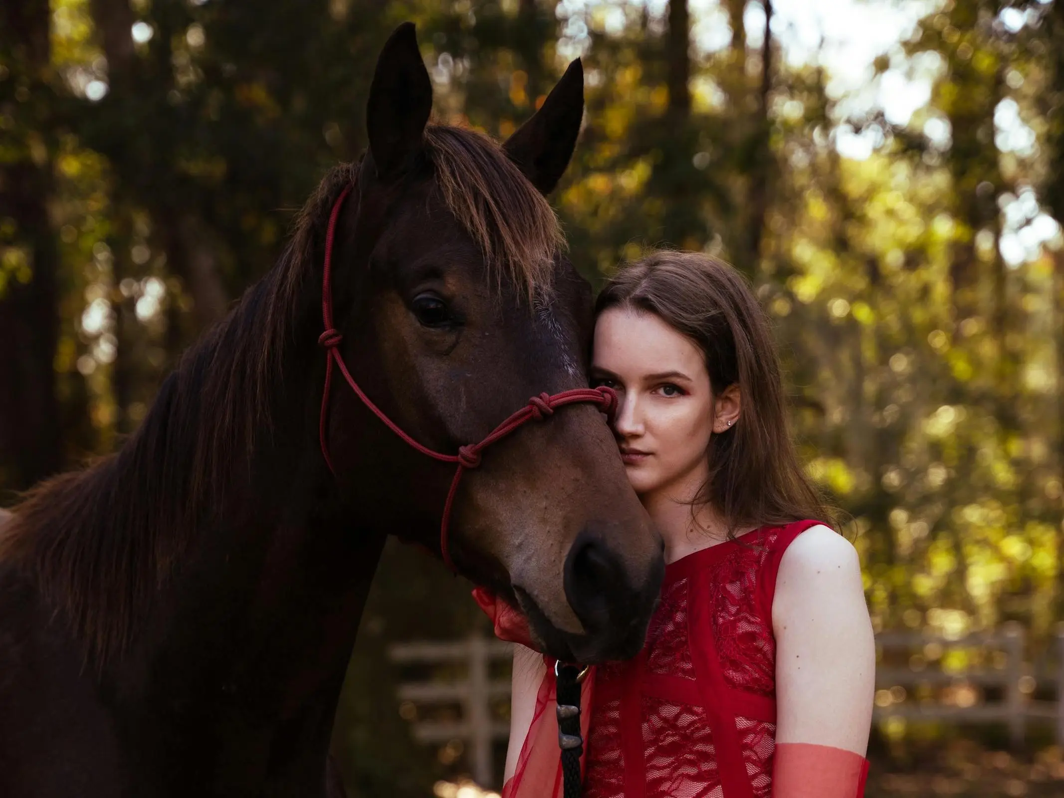 Chicksaw Pony