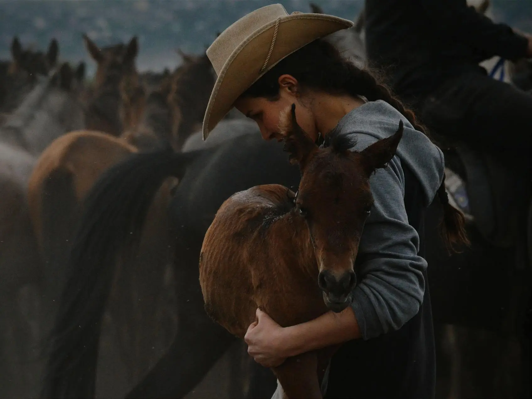 Woman holding a foal