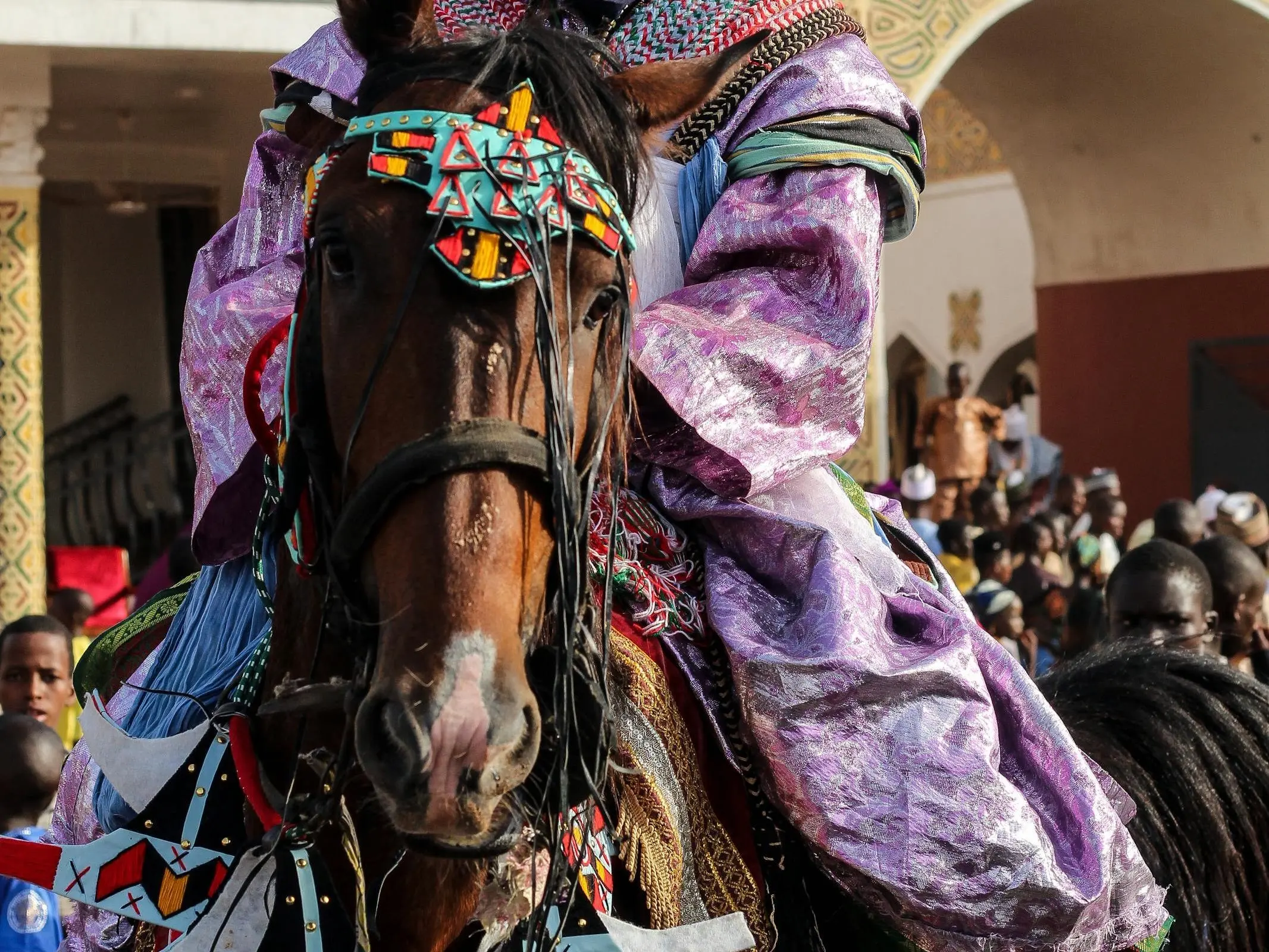 Fouta Horse