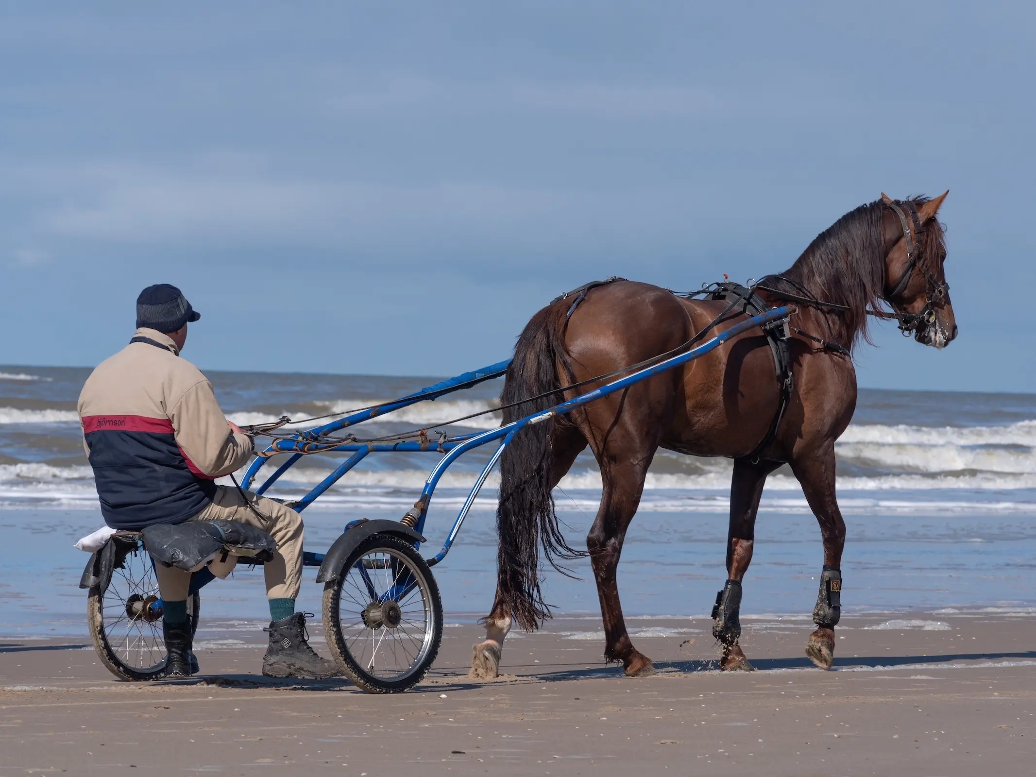 French Trotter