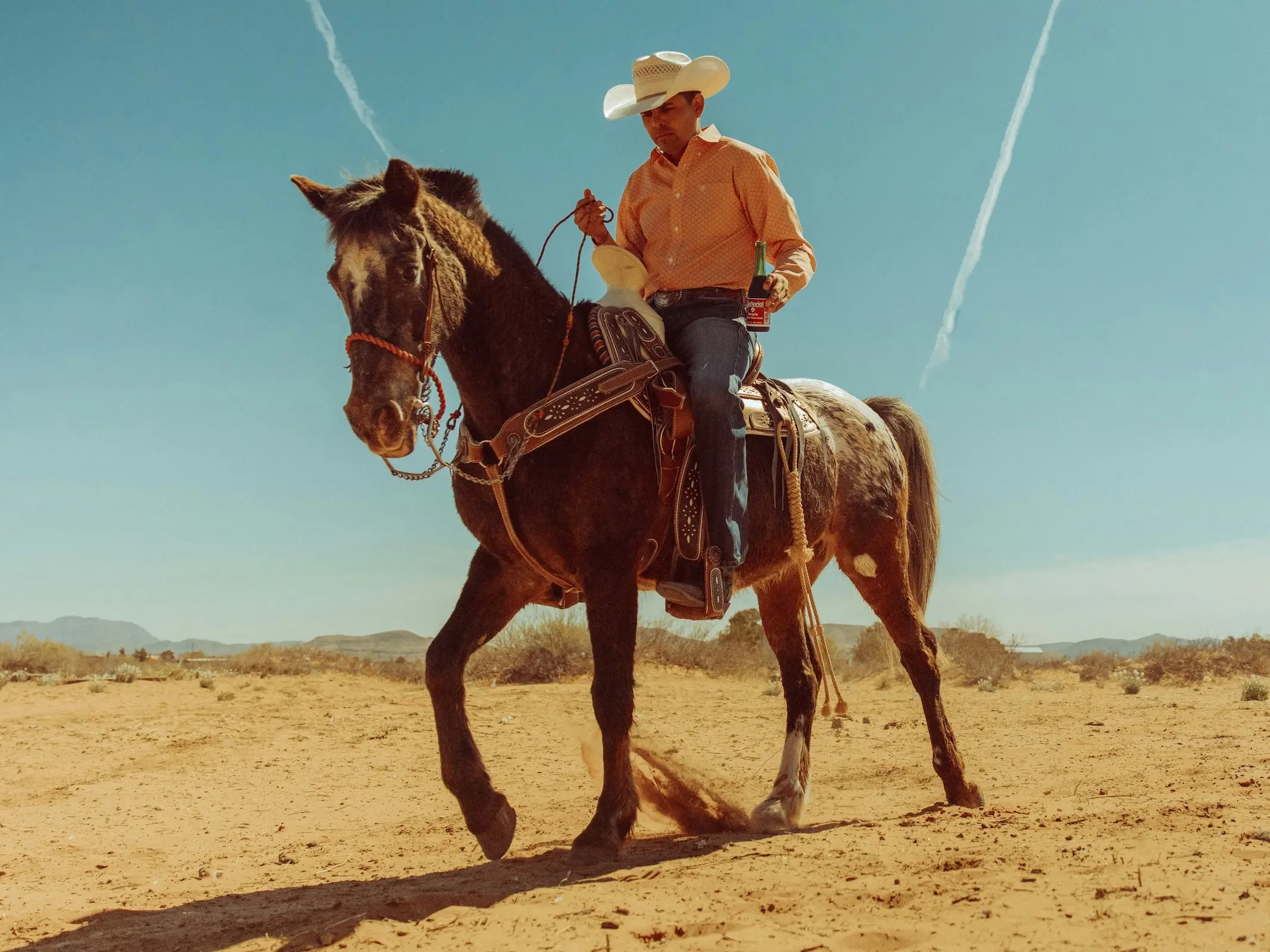 Galiceño Pony