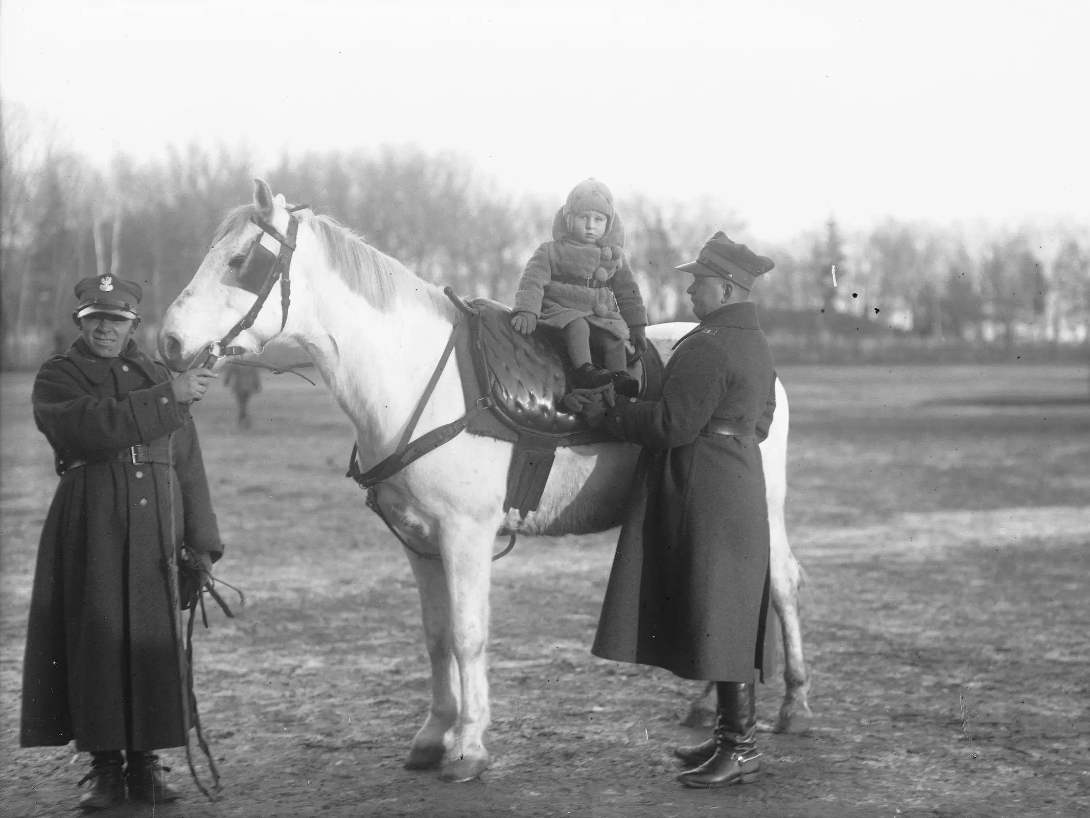 Garwolin Horse