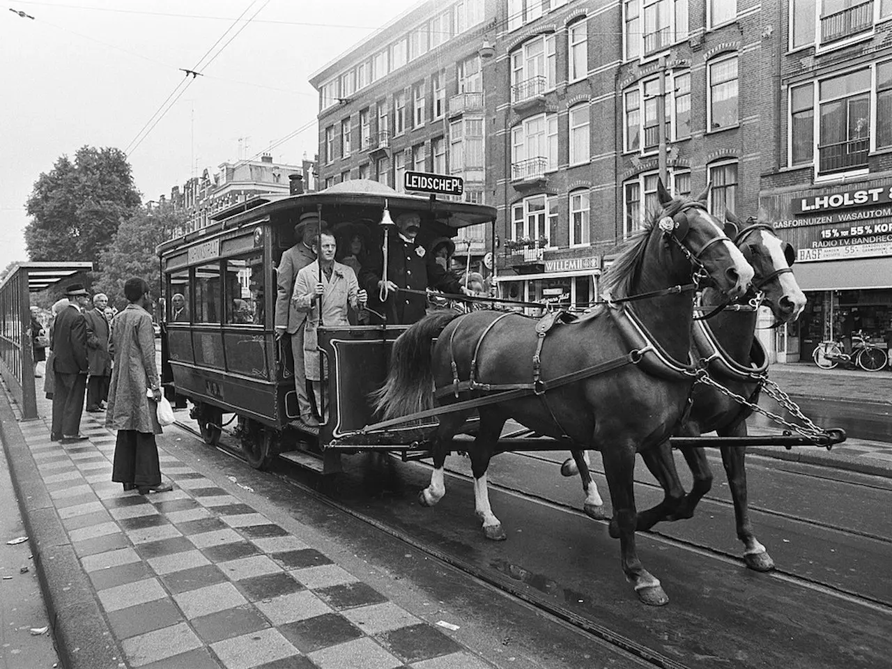 Gelderland Horse