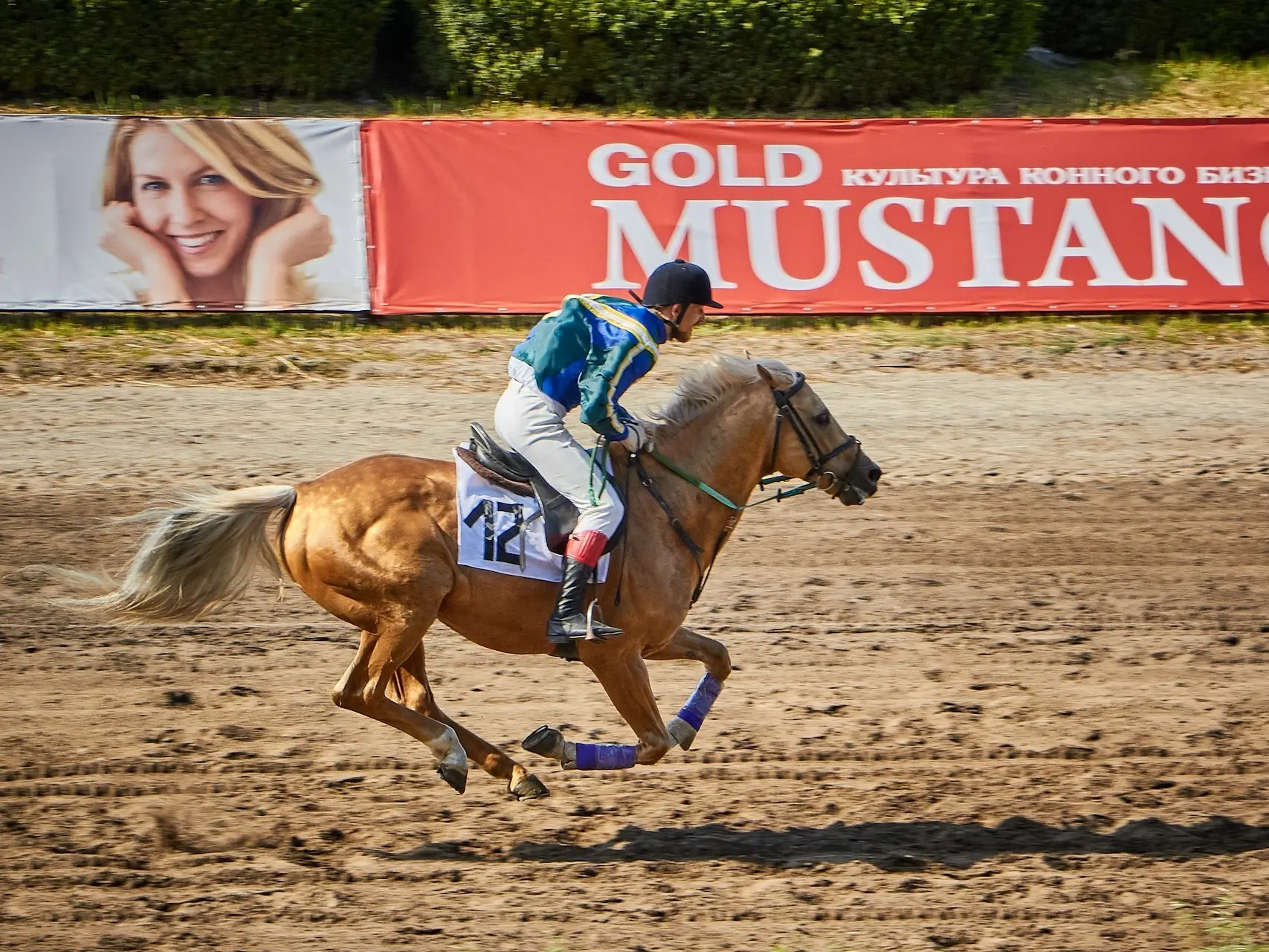 Gold champagne horse