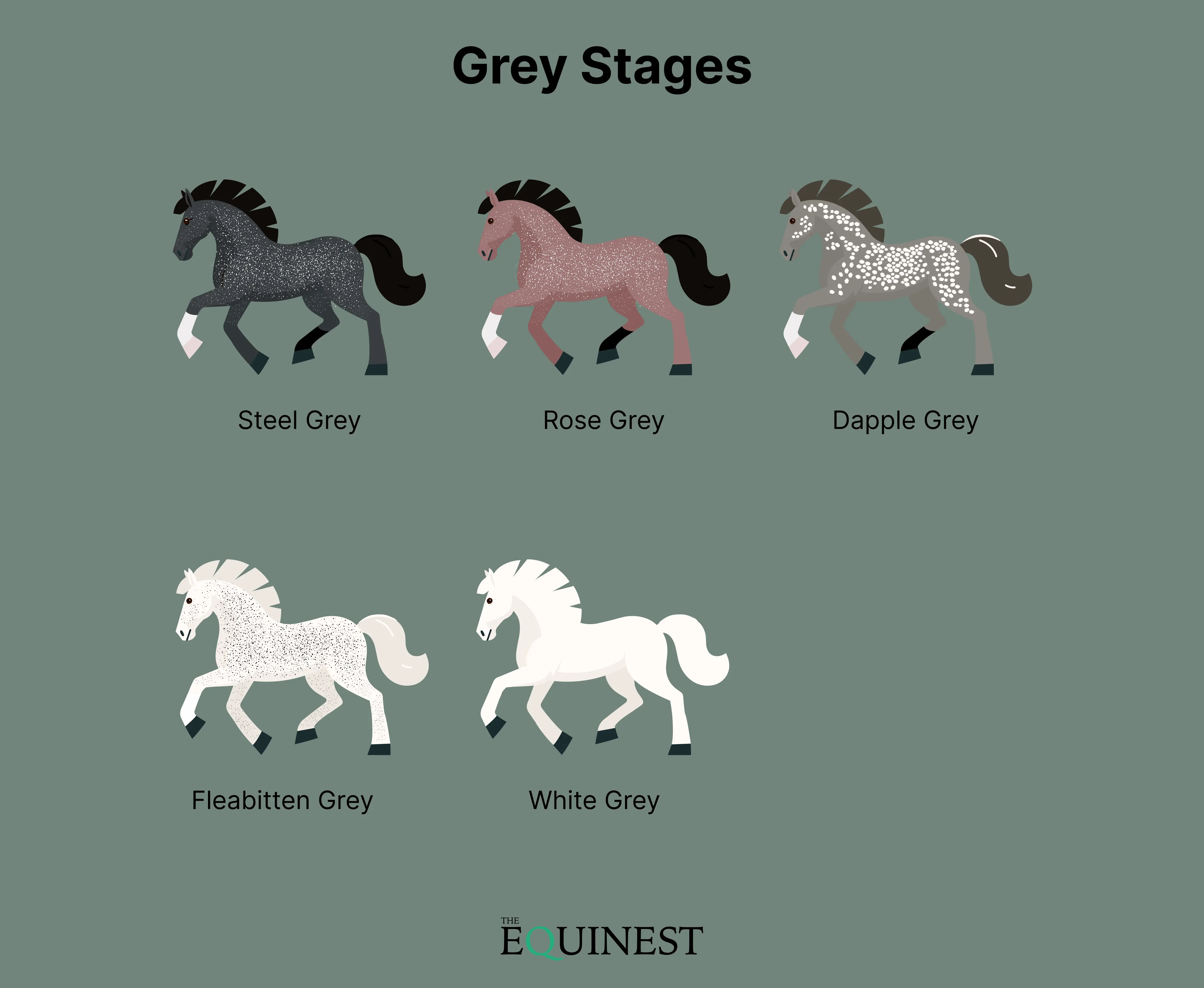 Grey color cheat sheet
