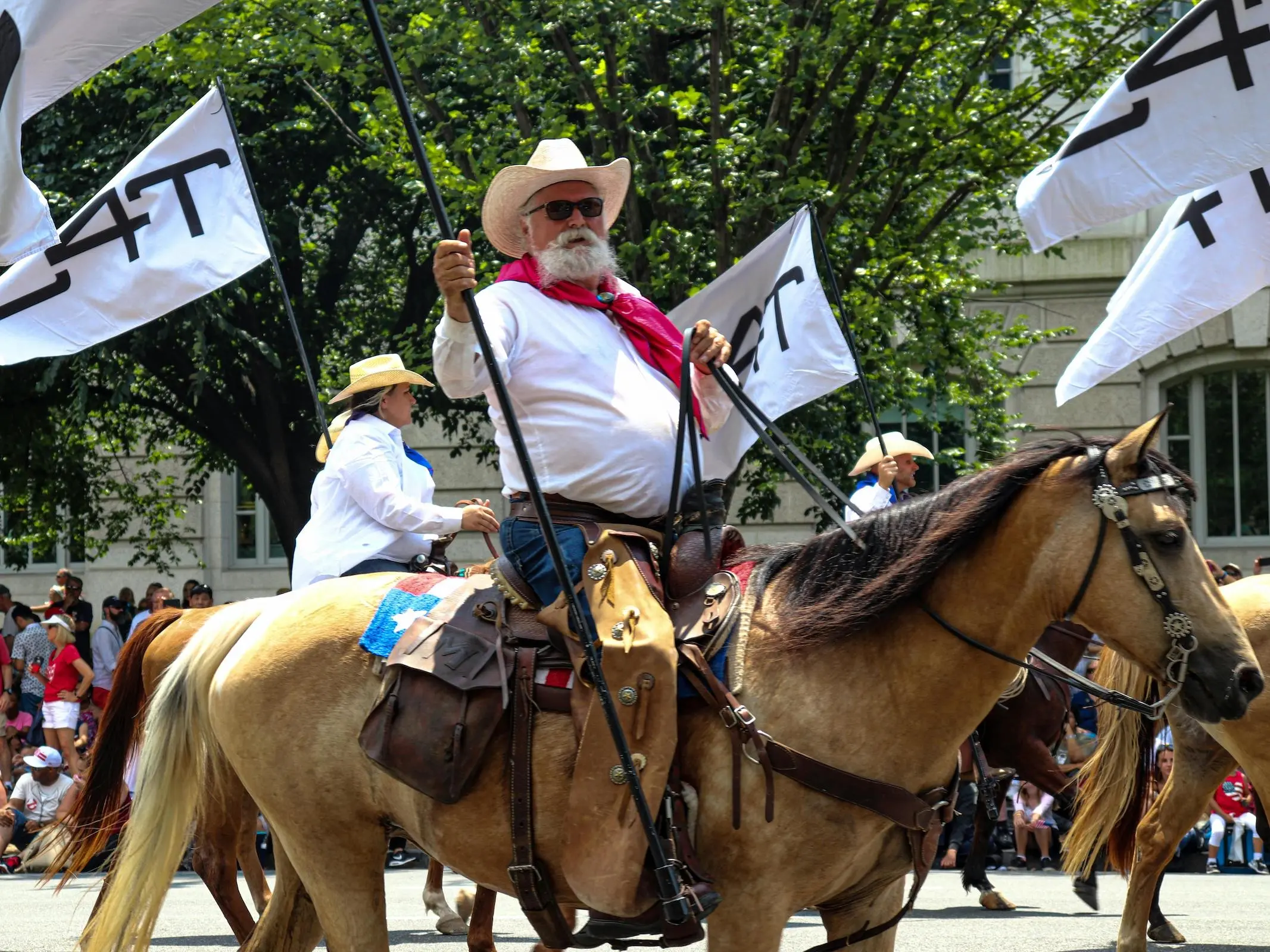 Horse with gulastra plume