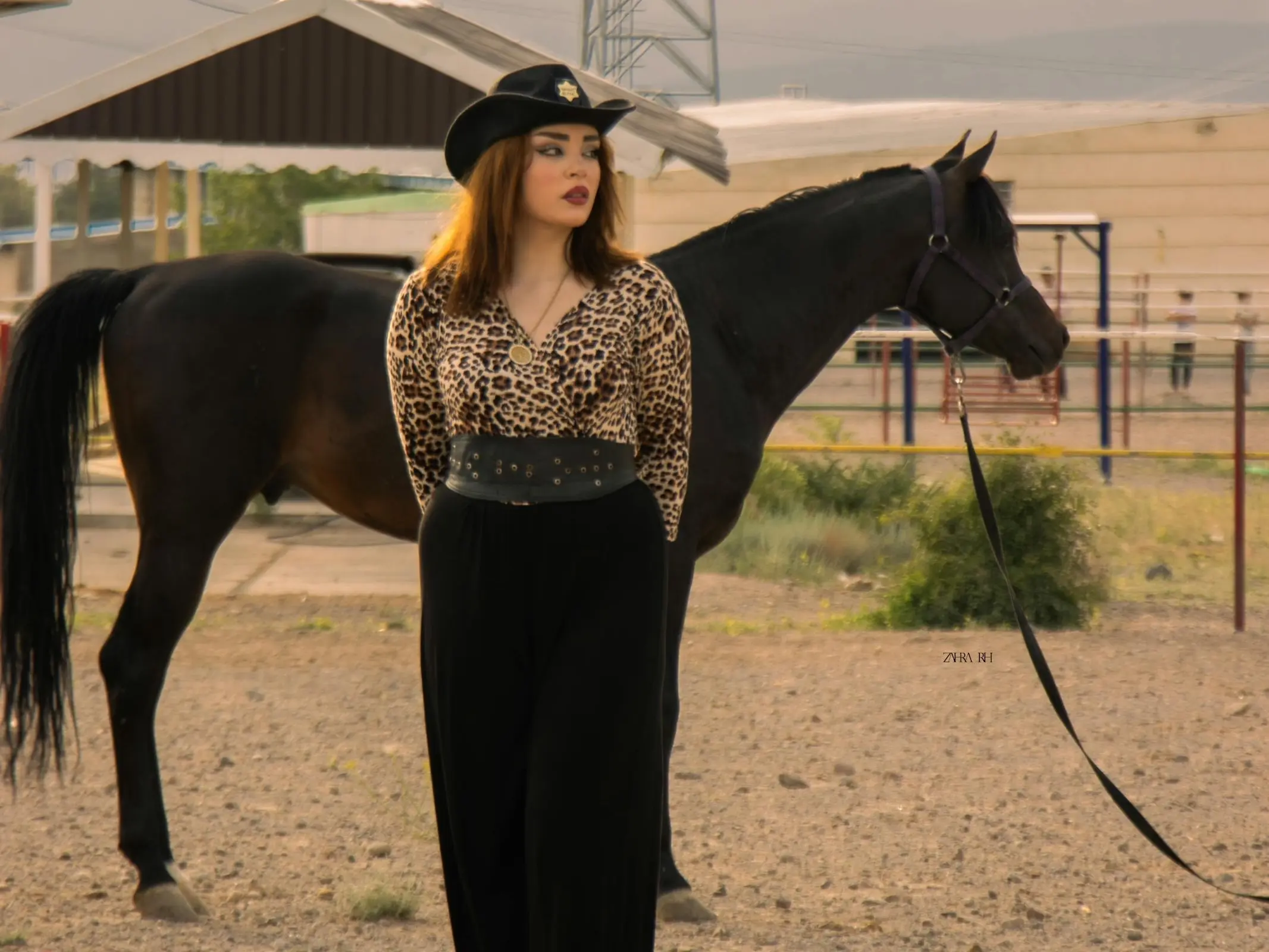 Hadban Arabian Horse