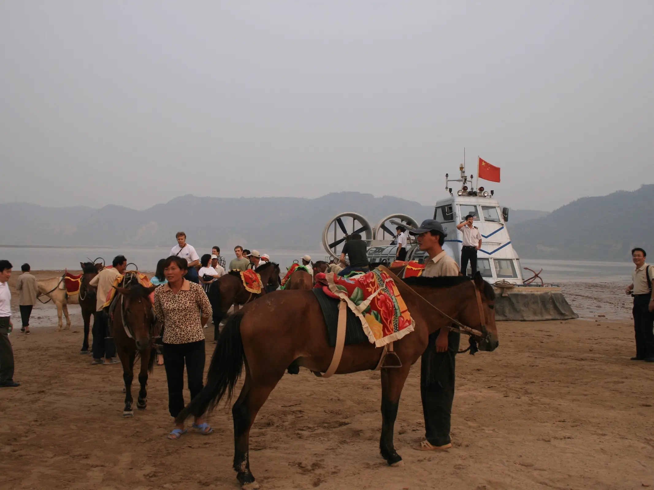 Henan Light Draught Horse