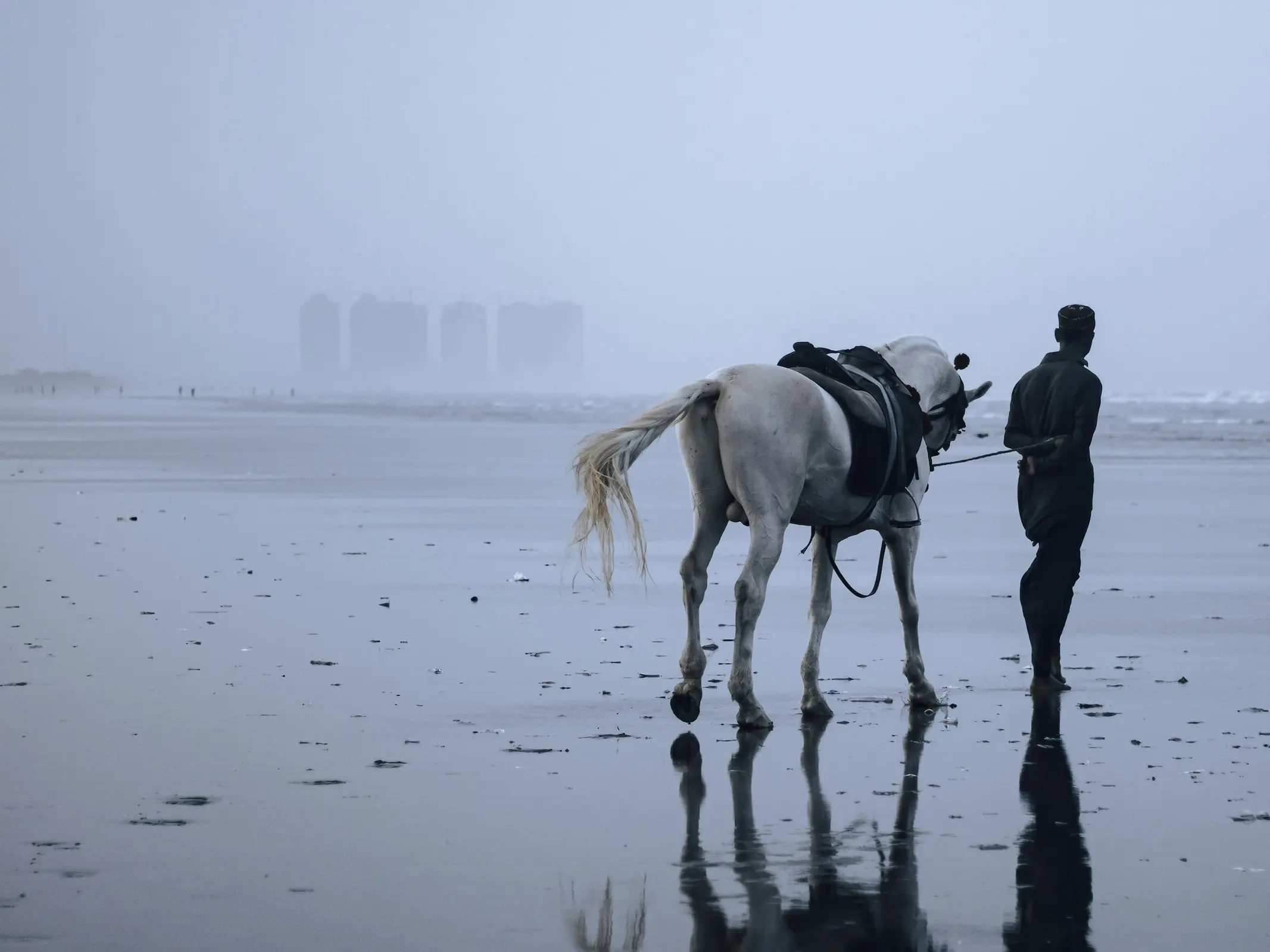 Hirzai Horse - Horse Breeds