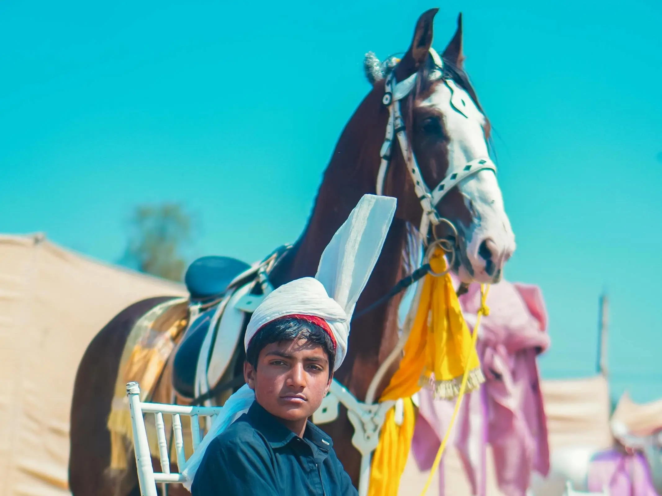 Hirzai Horse