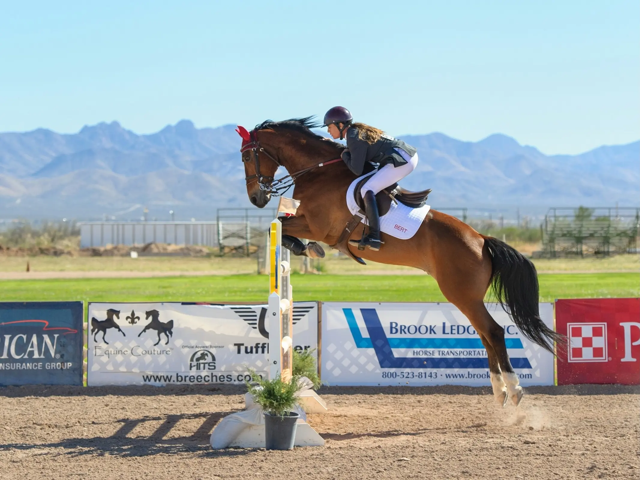 Horse jumping a fence