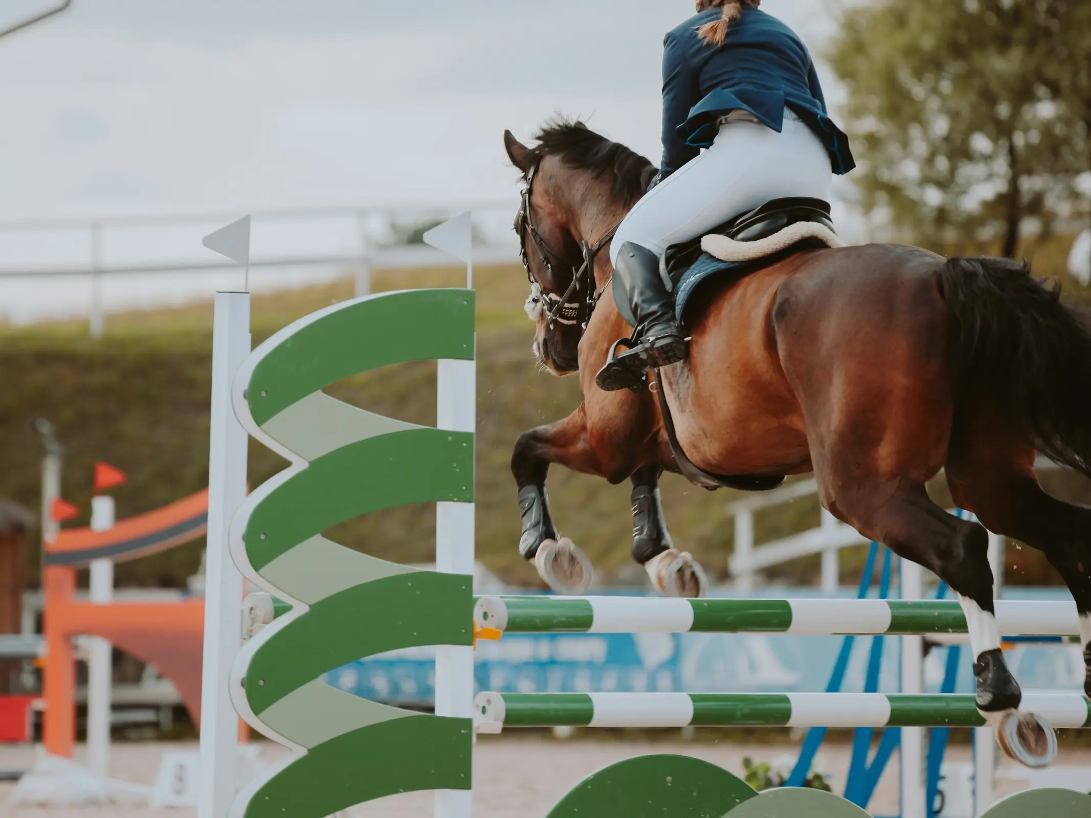 Horse jumping a fence