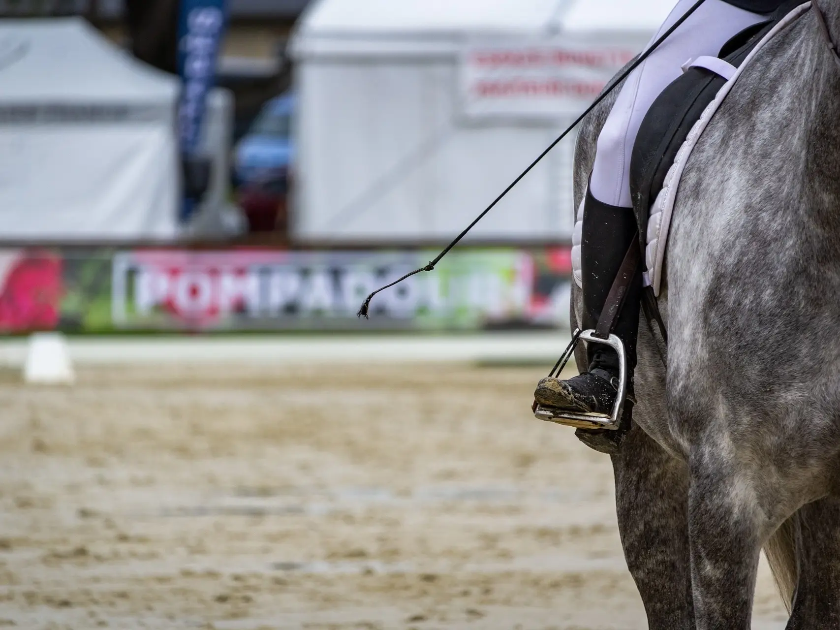 Horse jumping a fence