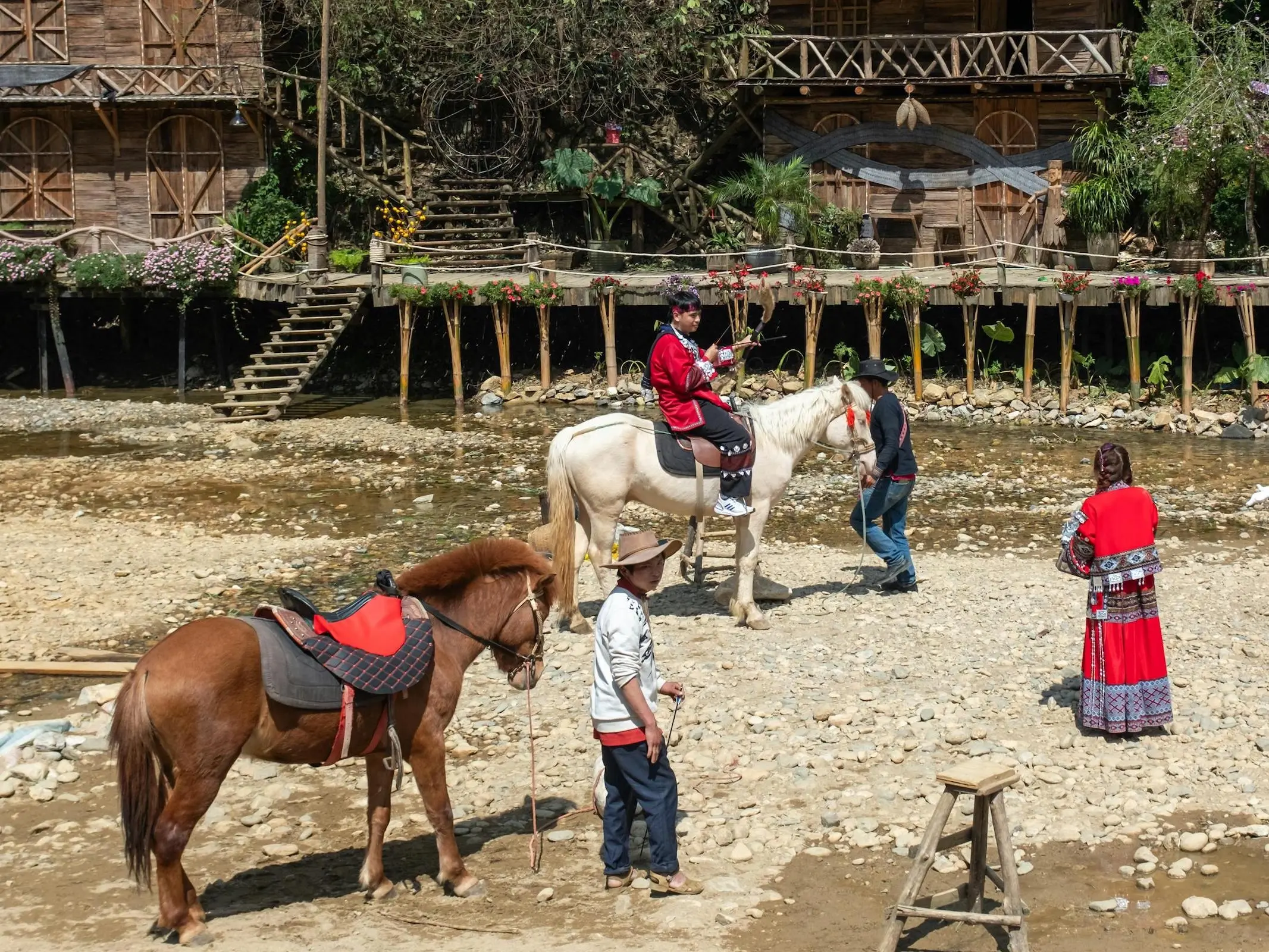 Hmong Horse