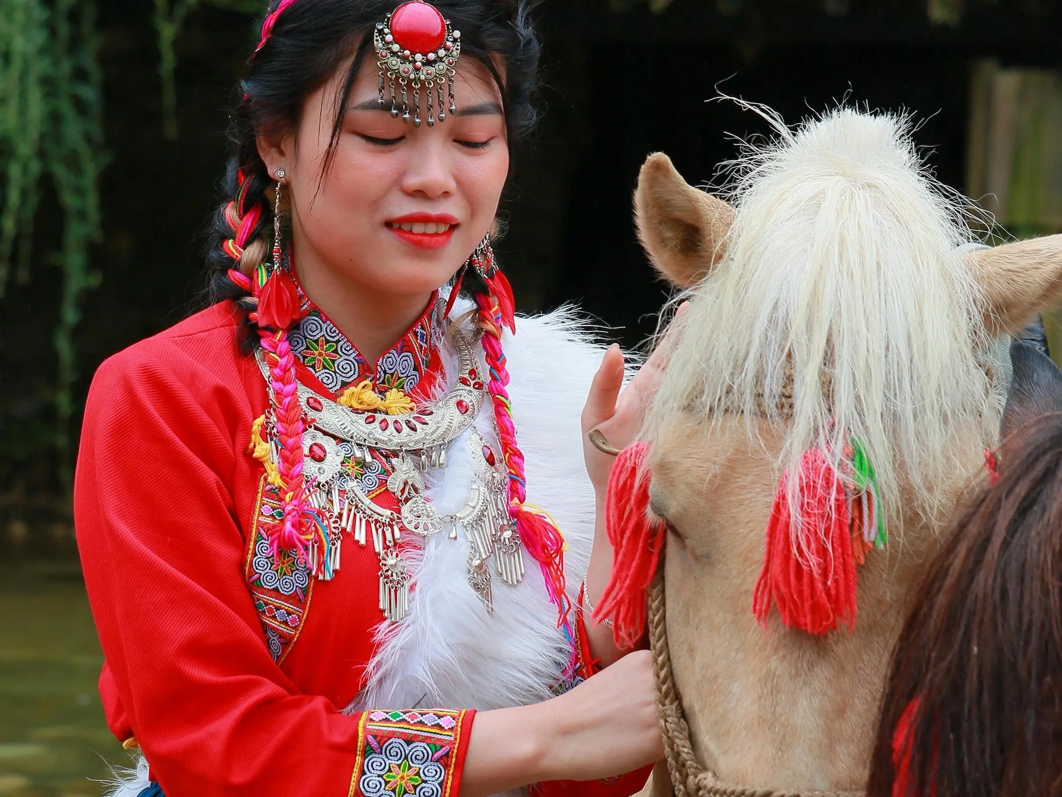 Hmong Horse