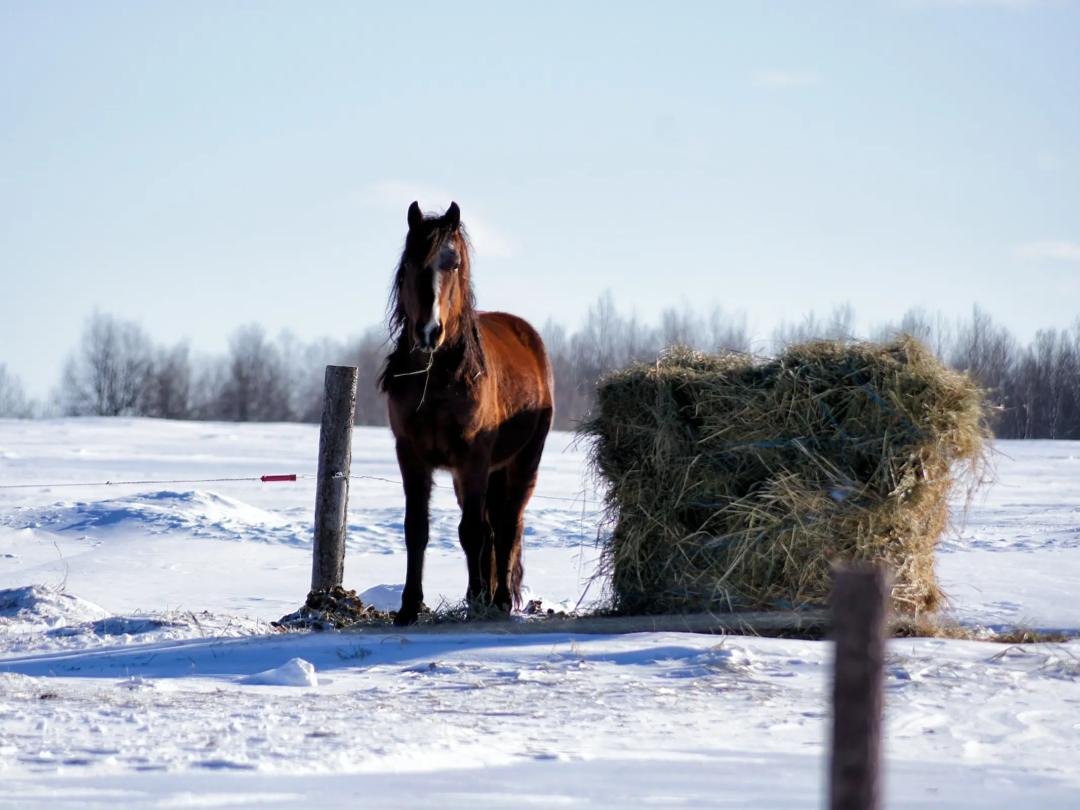 Hay Barn