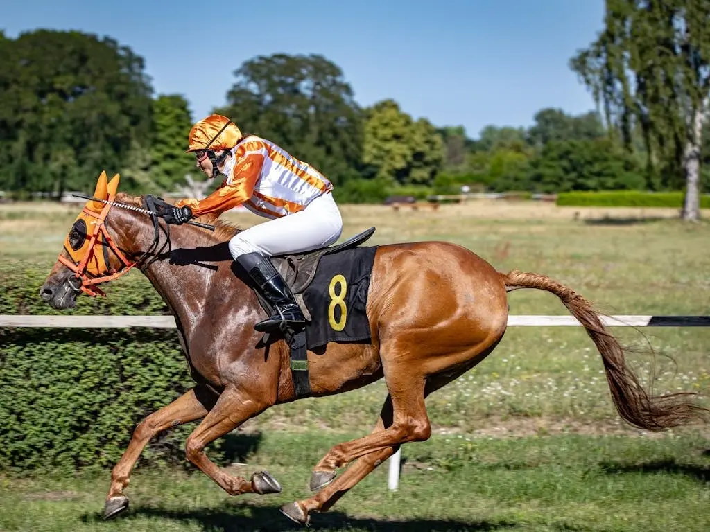 Racehorse running