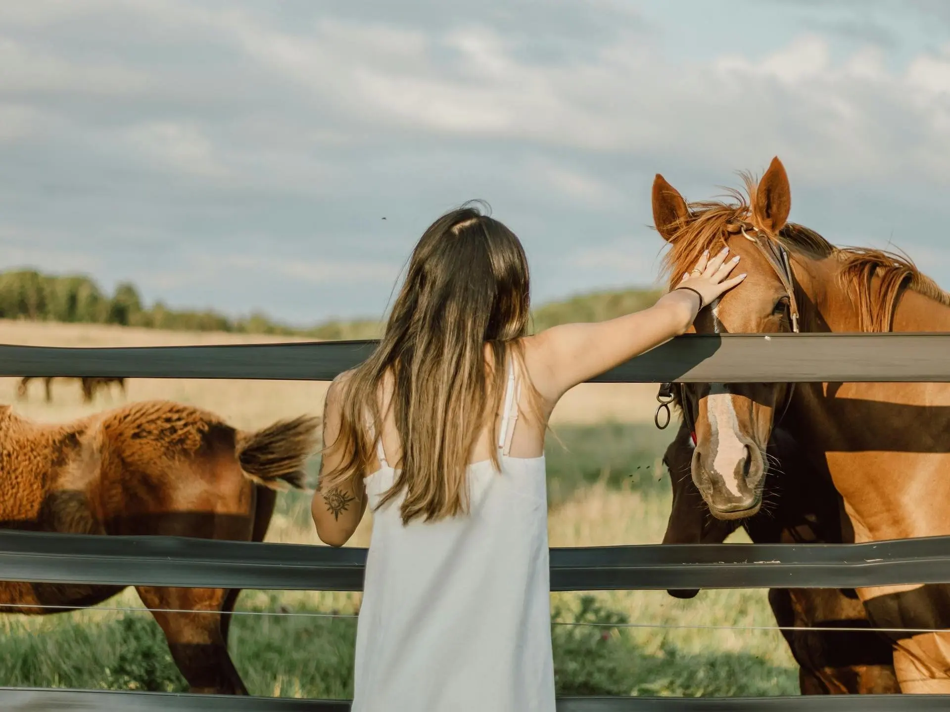 young woman standing in a field with a horse