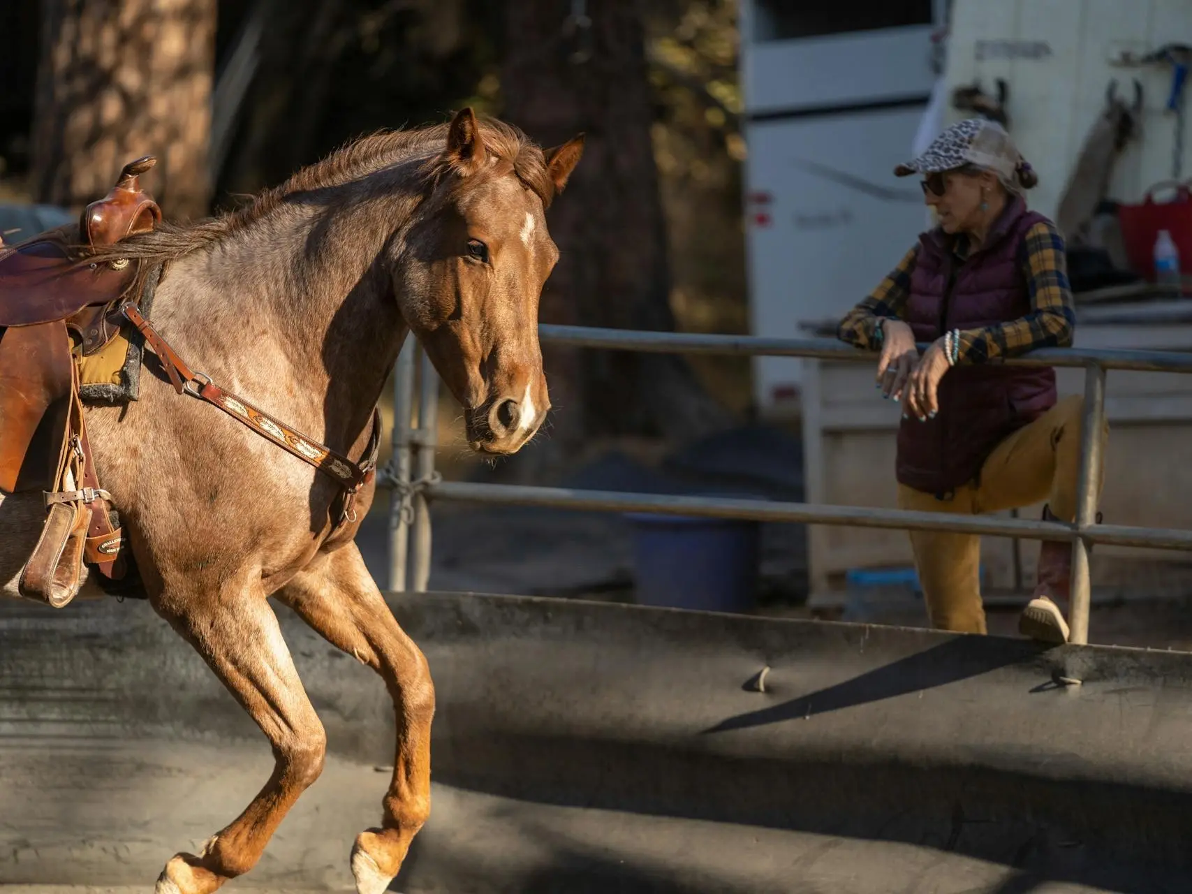 woman watching a horse in a corral