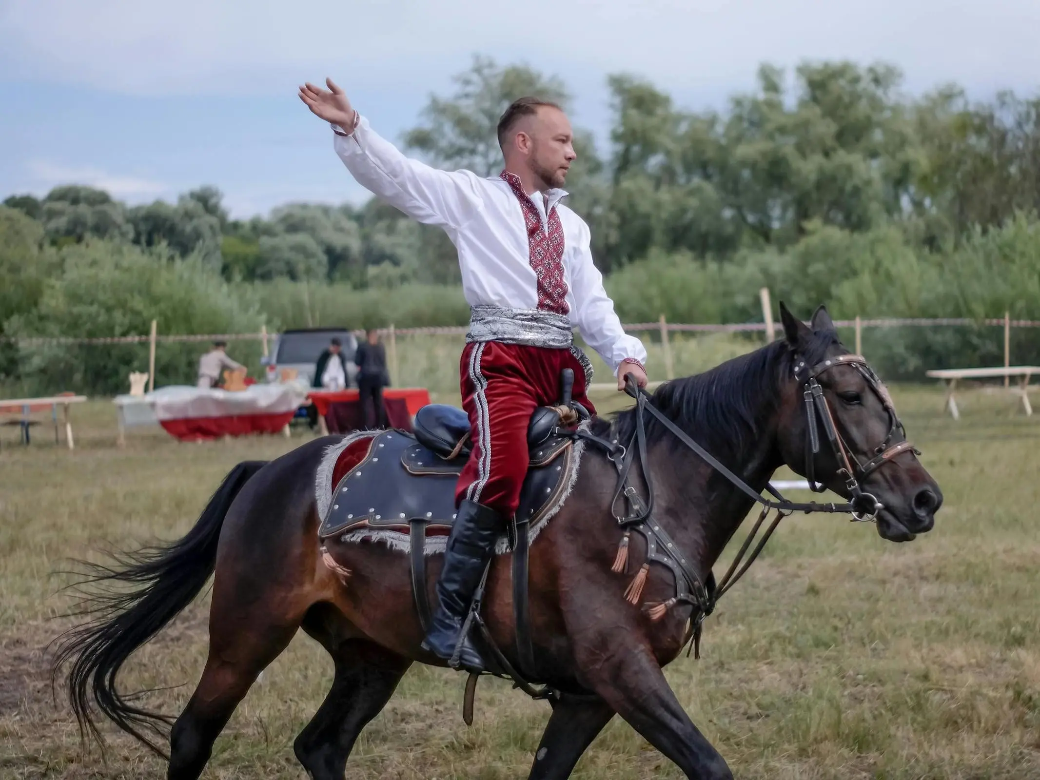 Carpathian Pony