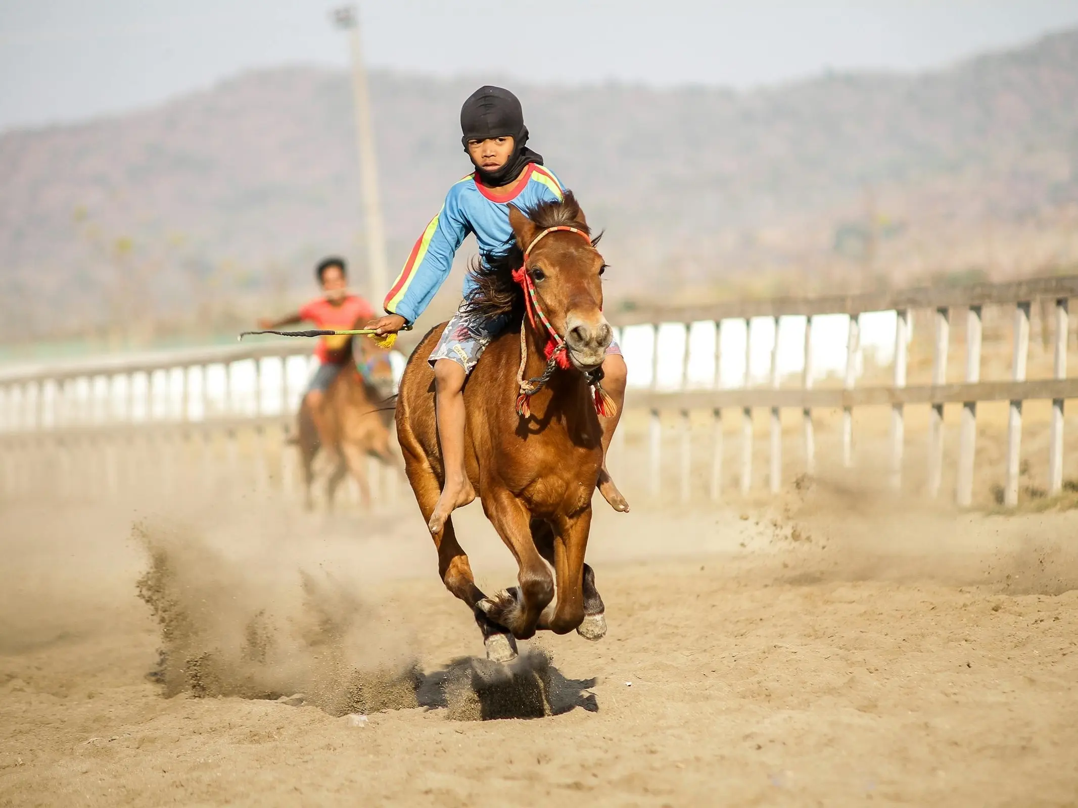 Indonesian Race Horse