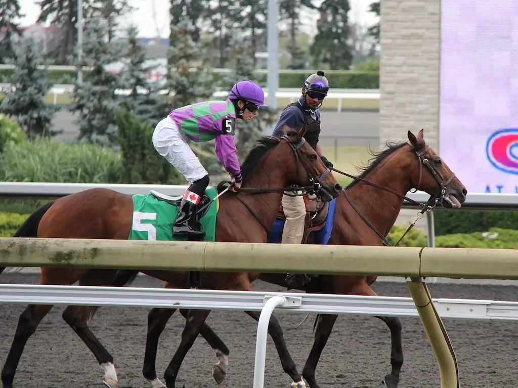 racehorse and outrider at a racetrack