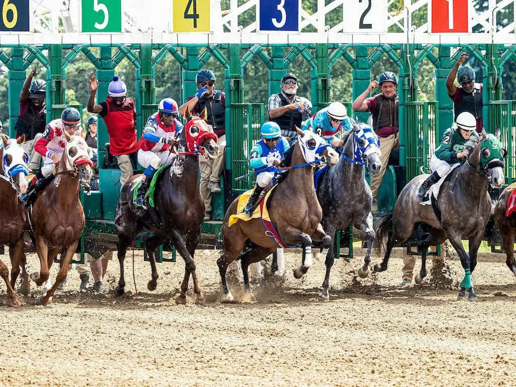 race horses running around a racetrack