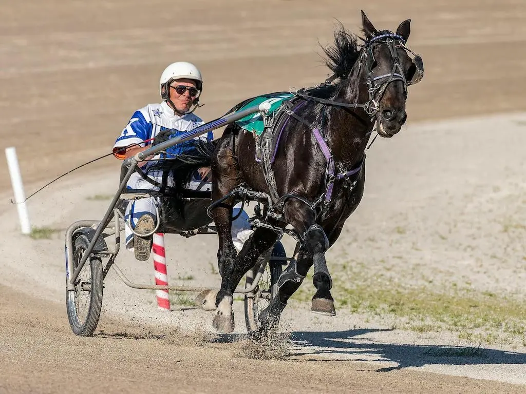 race horses running around a racetrack