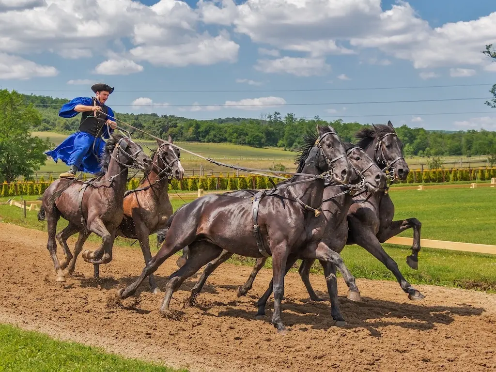 man doing a horse stunt