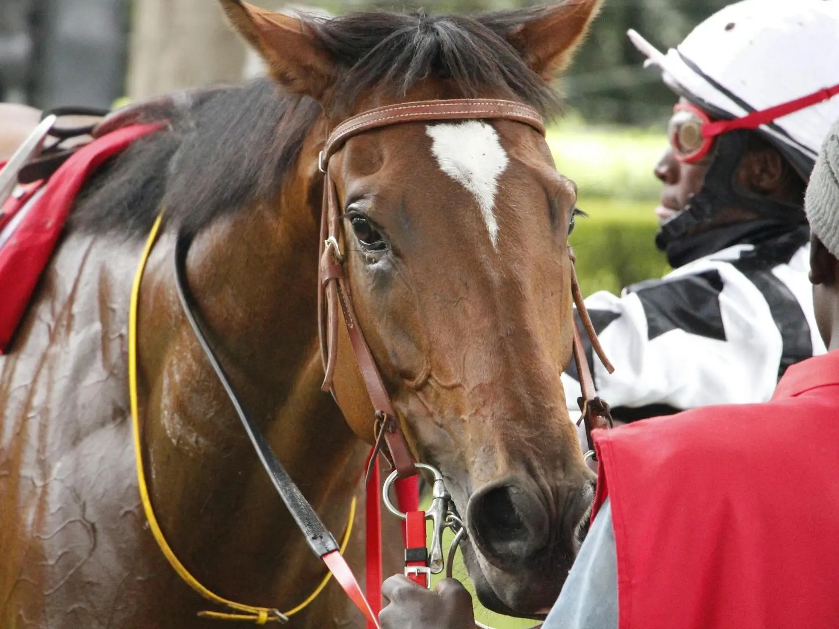 Young man with a jockey and a horse at a racetrack