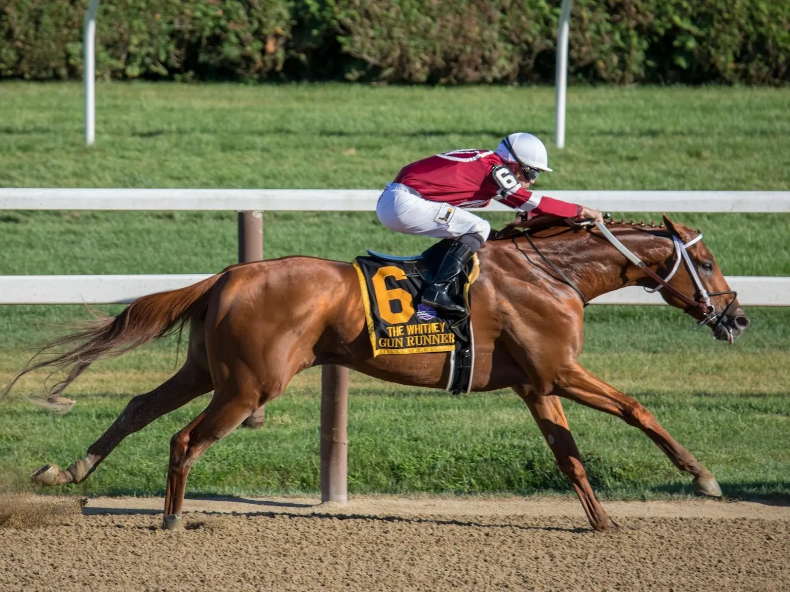 Race horses running around a racetrack