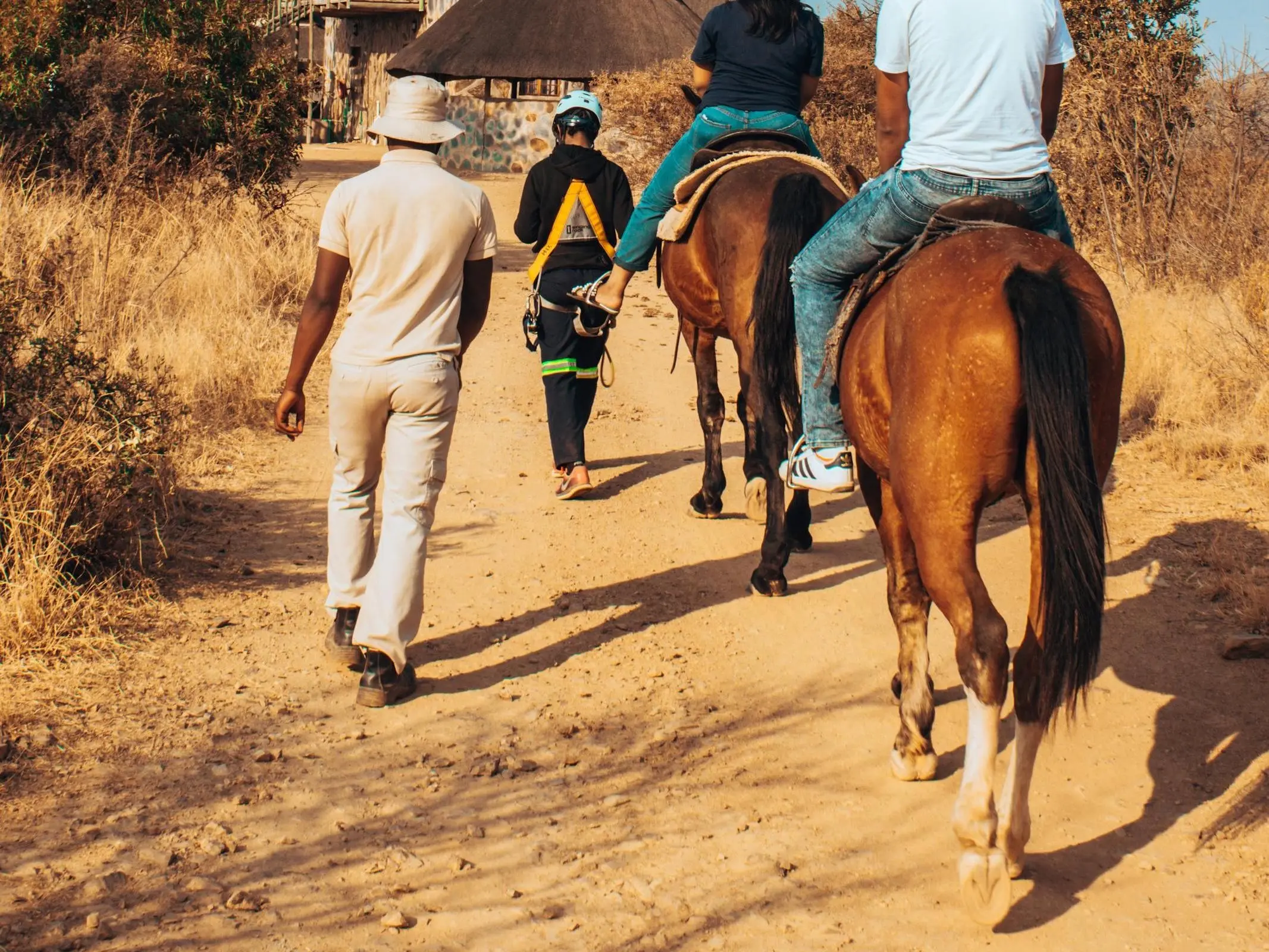 Kalahari Pony